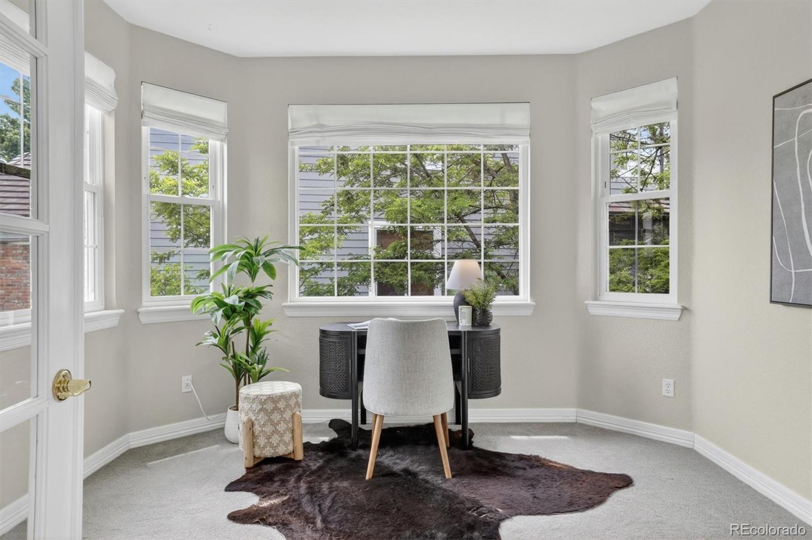 MLS Image #10 for 10425  carriage club drive,lone tree, Colorado