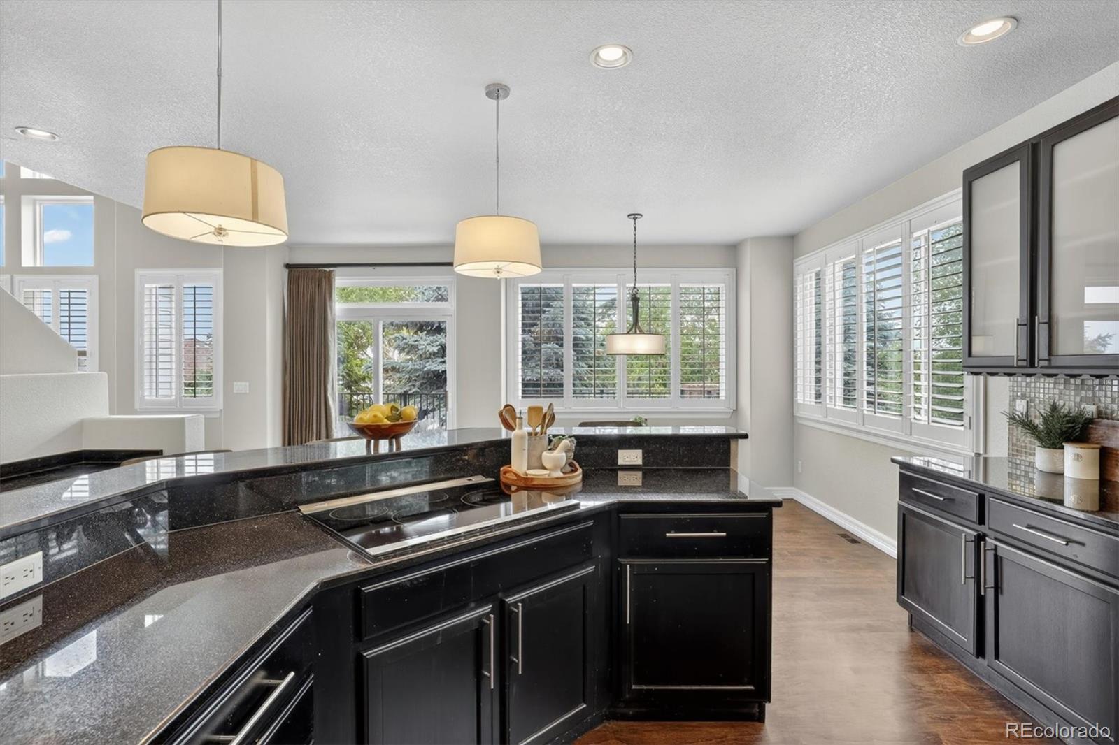 MLS Image #17 for 10425  carriage club drive,lone tree, Colorado