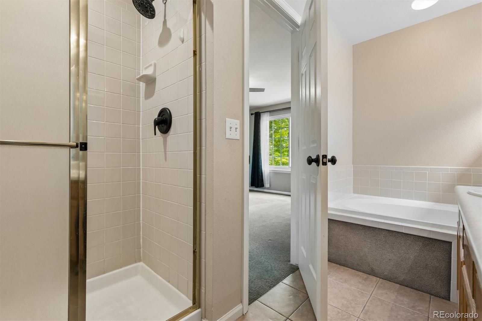 MLS Image #19 for 3937  garnet way,highlands ranch, Colorado