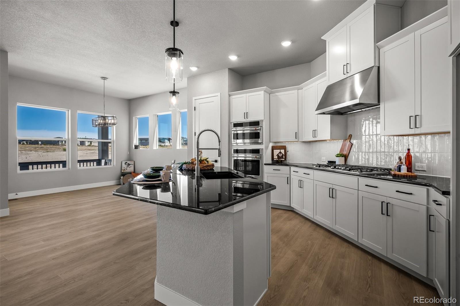 MLS Image #5 for 9030  frolic view,colorado springs, Colorado