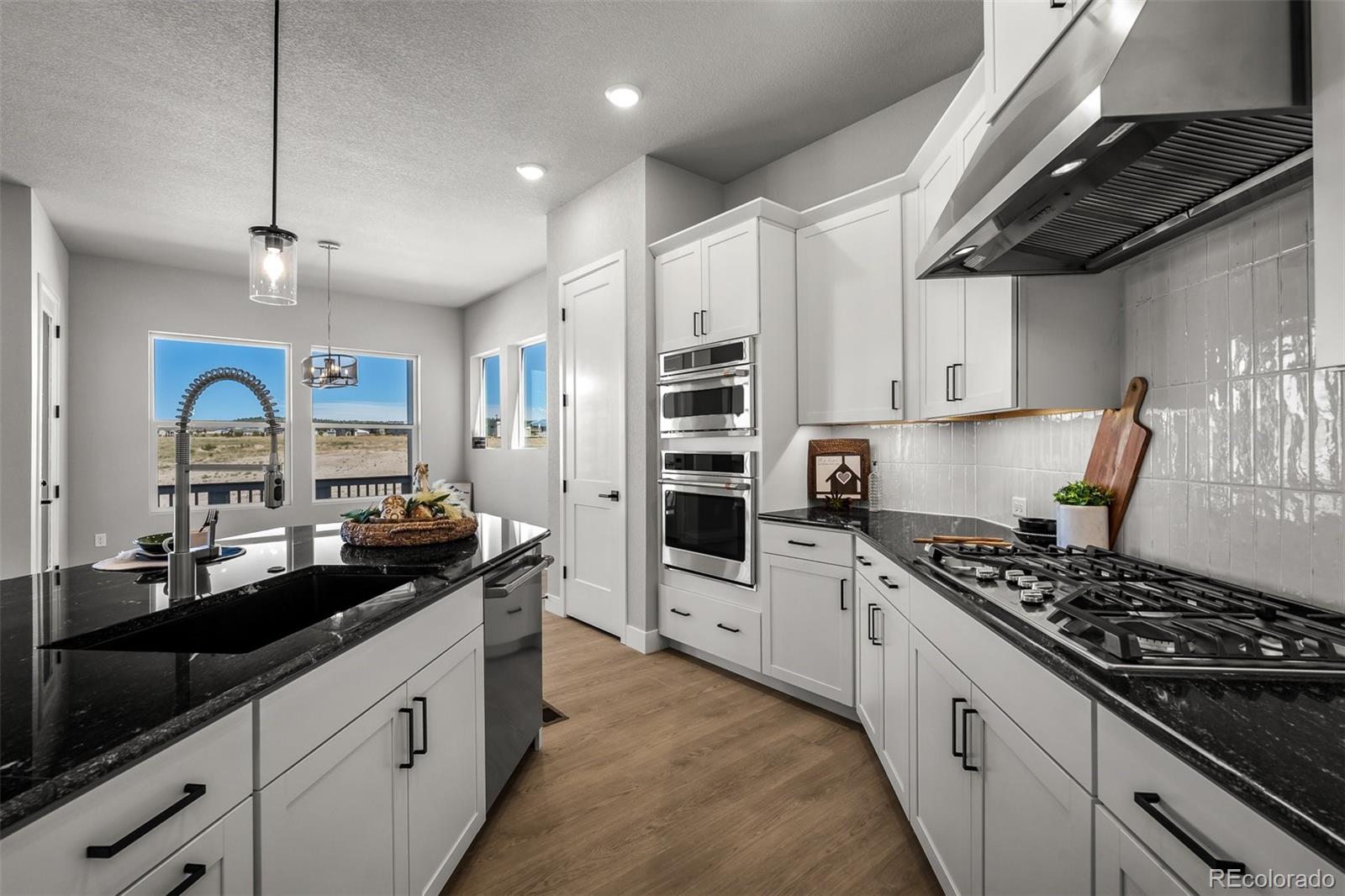 MLS Image #8 for 9030  frolic view,colorado springs, Colorado