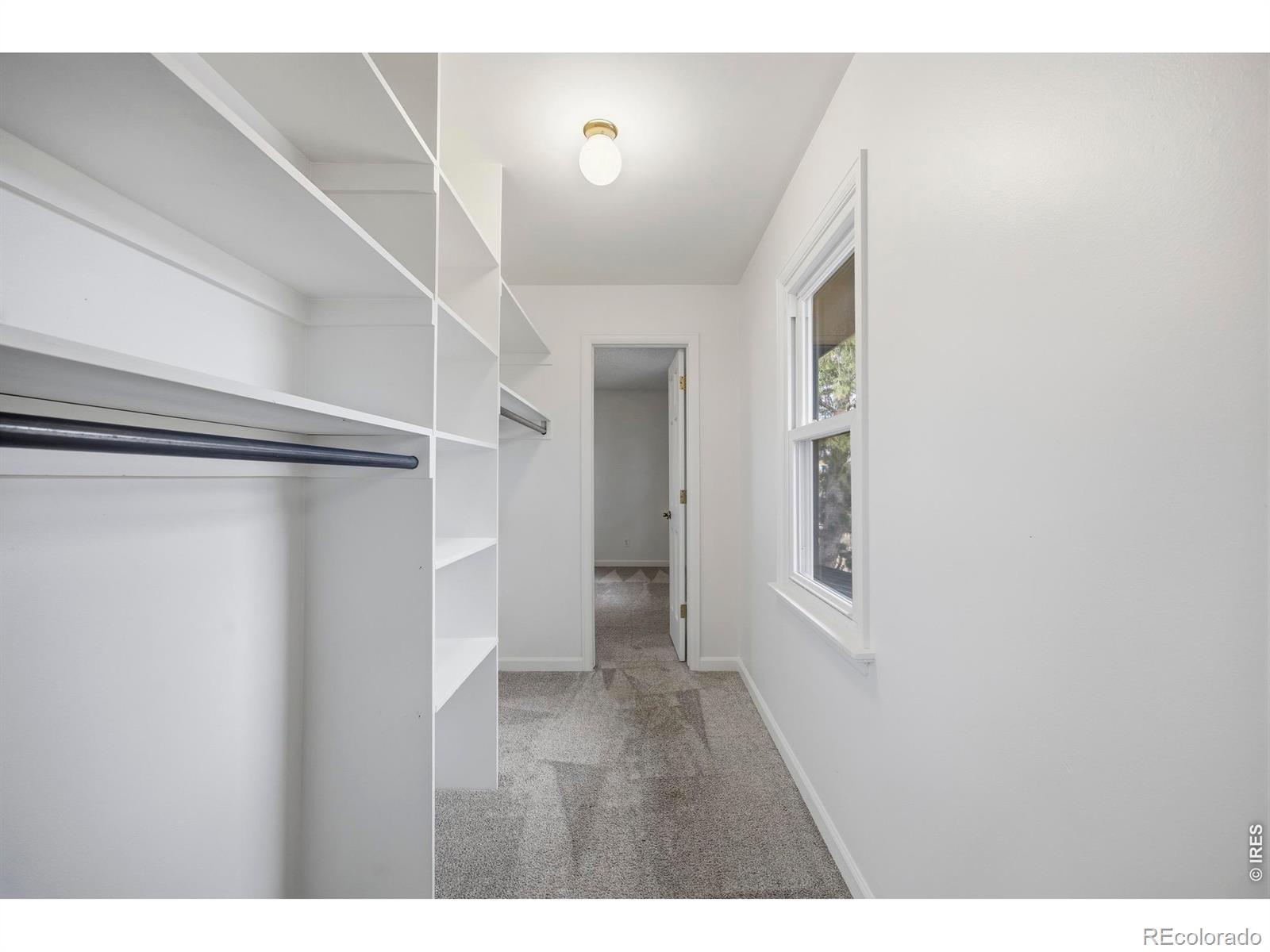 MLS Image #23 for 101  callie court,loveland, Colorado