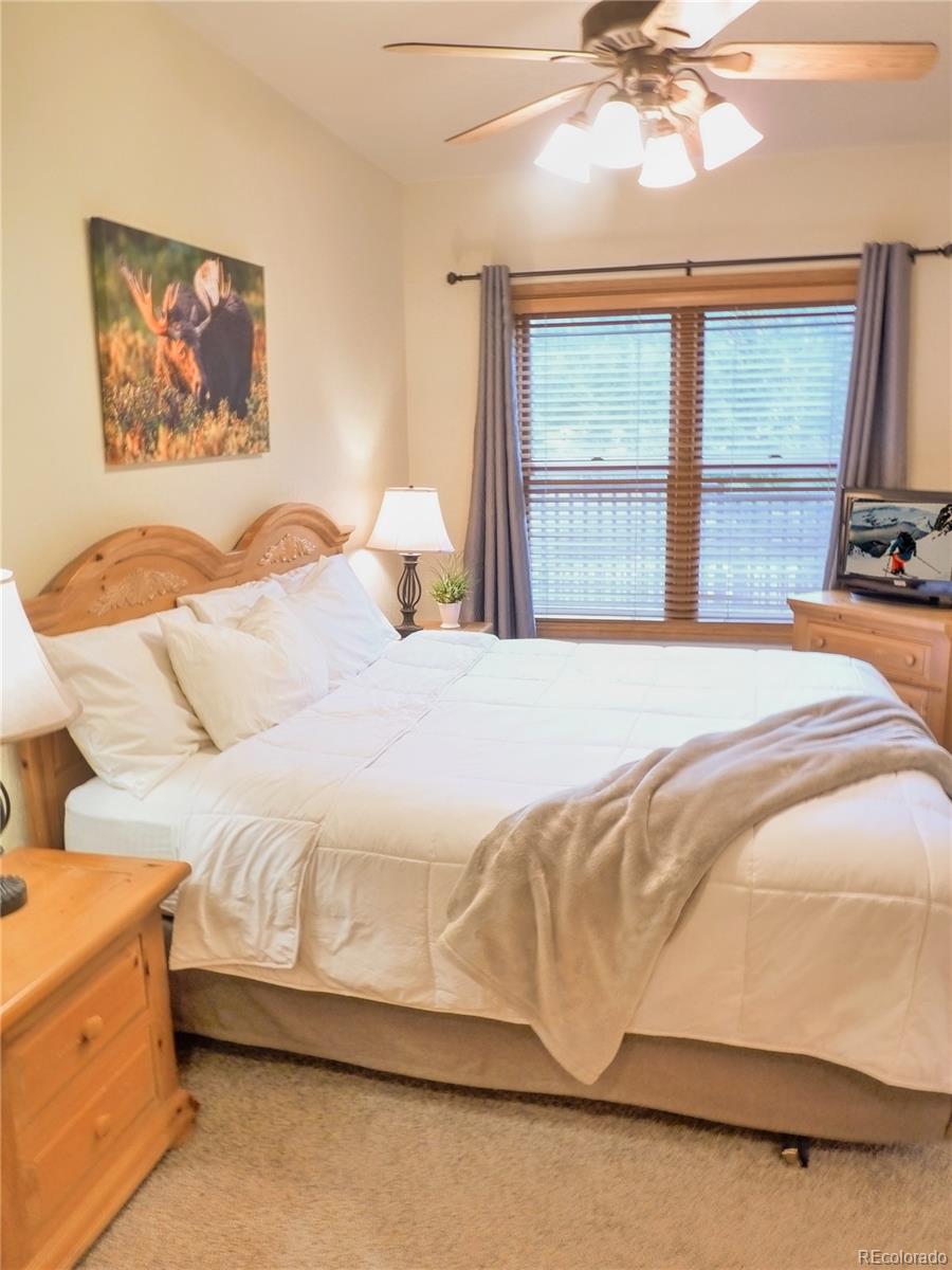 MLS Image #9 for 22714  us highway 6 ,dillon, Colorado