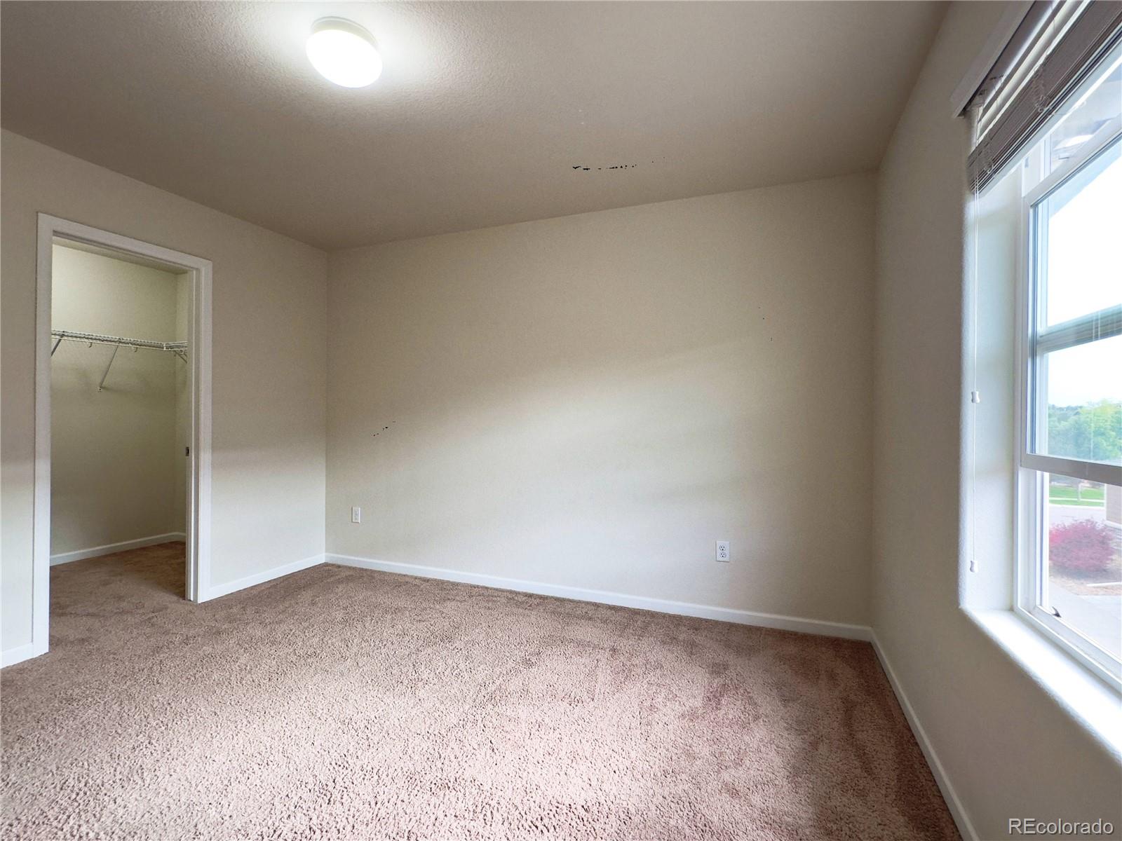 MLS Image #19 for 1578  sepia avenue,longmont, Colorado