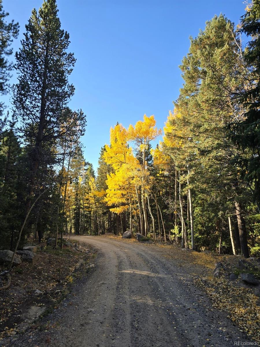 MLS Image #38 for 174  aspen meadow lane,golden, Colorado