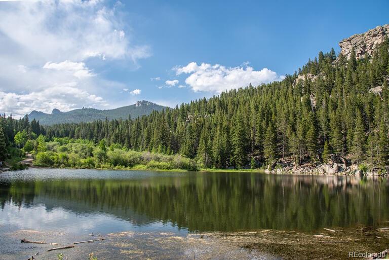 MLS Image #6 for 174  aspen meadow lane,golden, Colorado