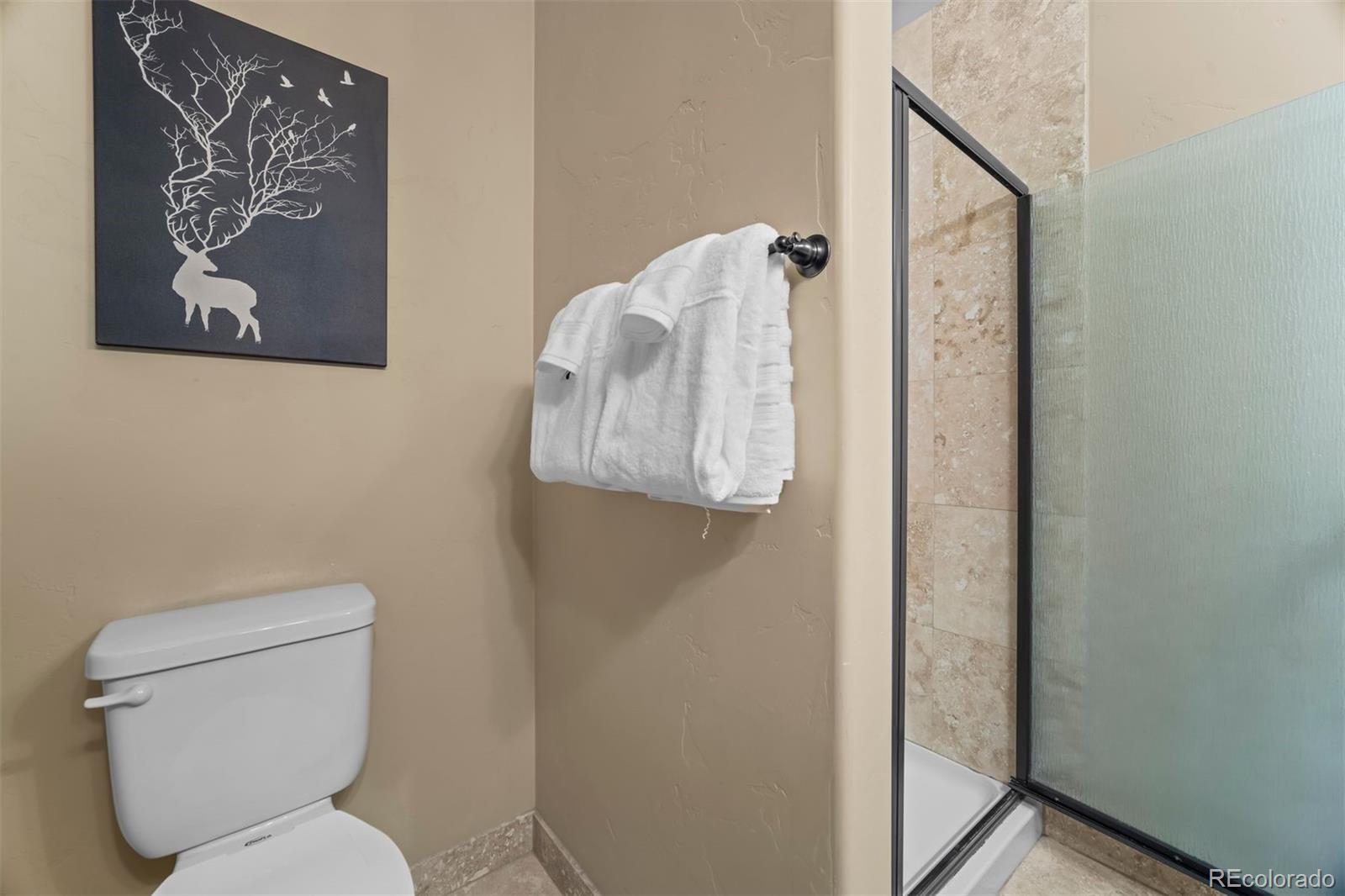 MLS Image #18 for 34  beaver brook trail,fraser, Colorado