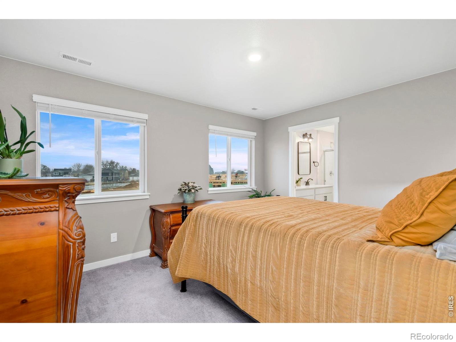 MLS Image #18 for 1938  knobby pine drive,fort collins, Colorado