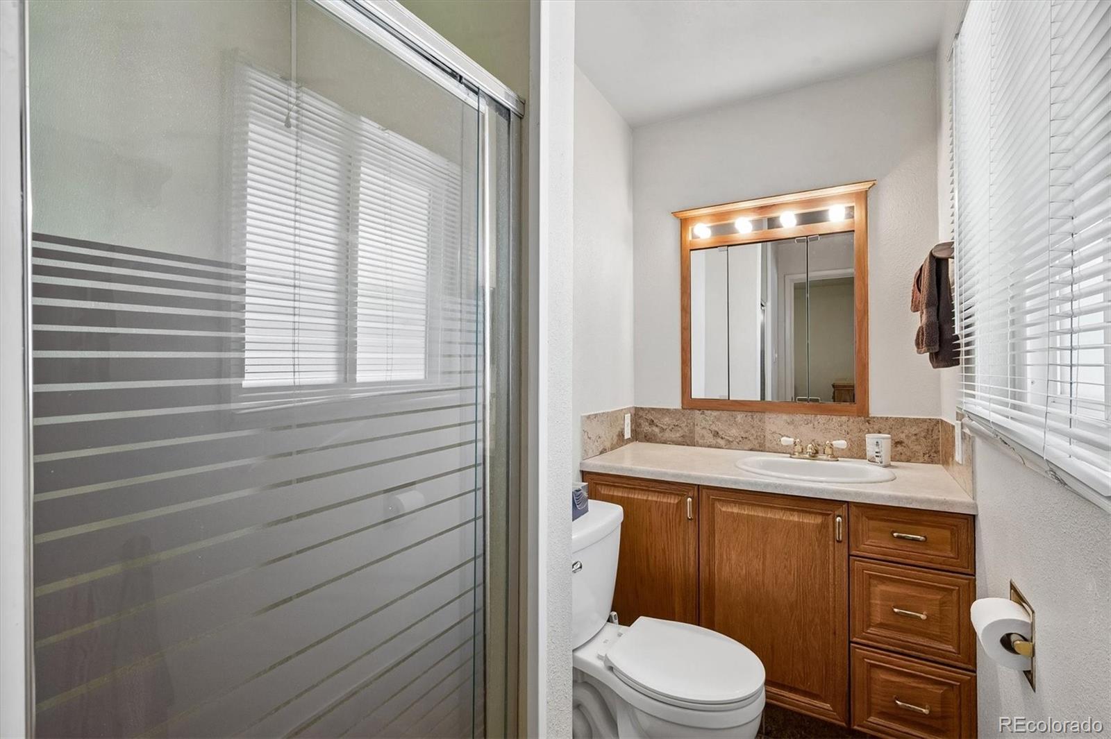 MLS Image #16 for 273  lima street,aurora, Colorado