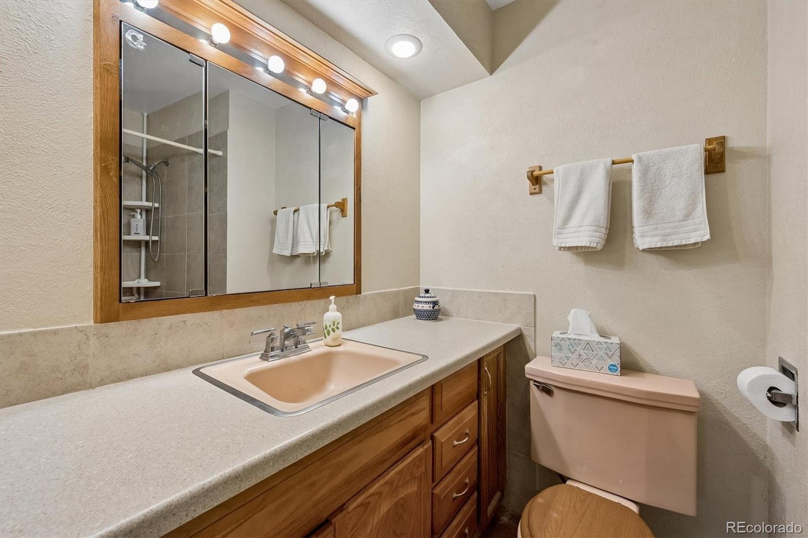 MLS Image #19 for 273  lima street,aurora, Colorado