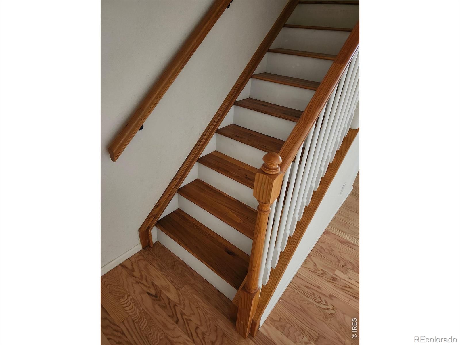 MLS Image #20 for 167  montgomery drive,erie, Colorado