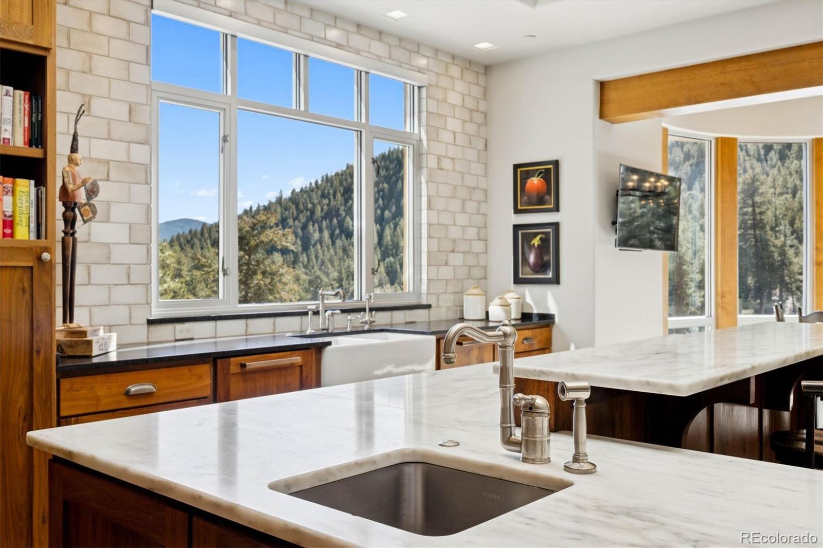 MLS Image #14 for 30033  upper bear creek road,evergreen, Colorado