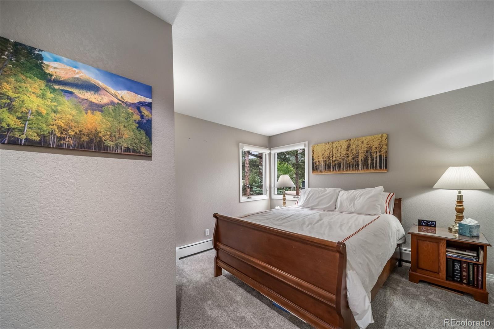 MLS Image #20 for 31192  cree drive,evergreen, Colorado