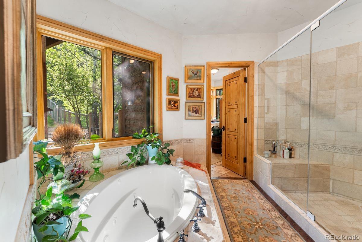 MLS Image #17 for 29700 s sunset trail,conifer, Colorado