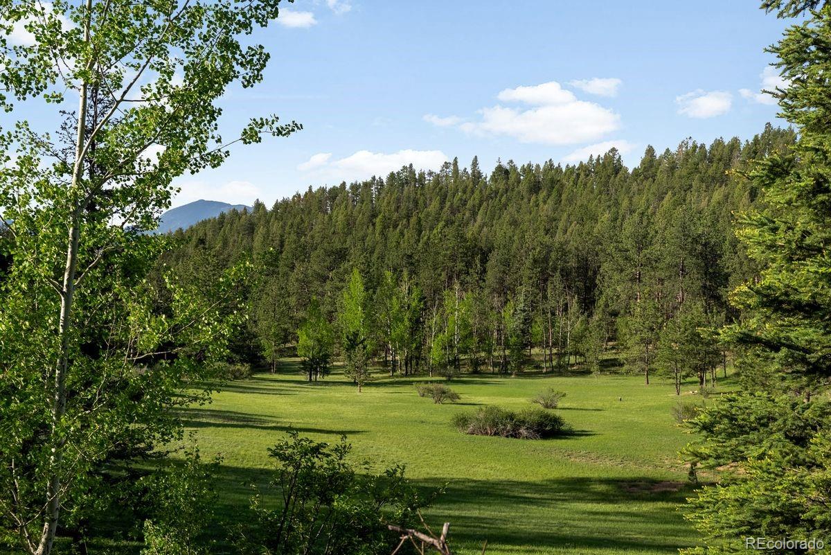 MLS Image #41 for 29700 s sunset trail,conifer, Colorado