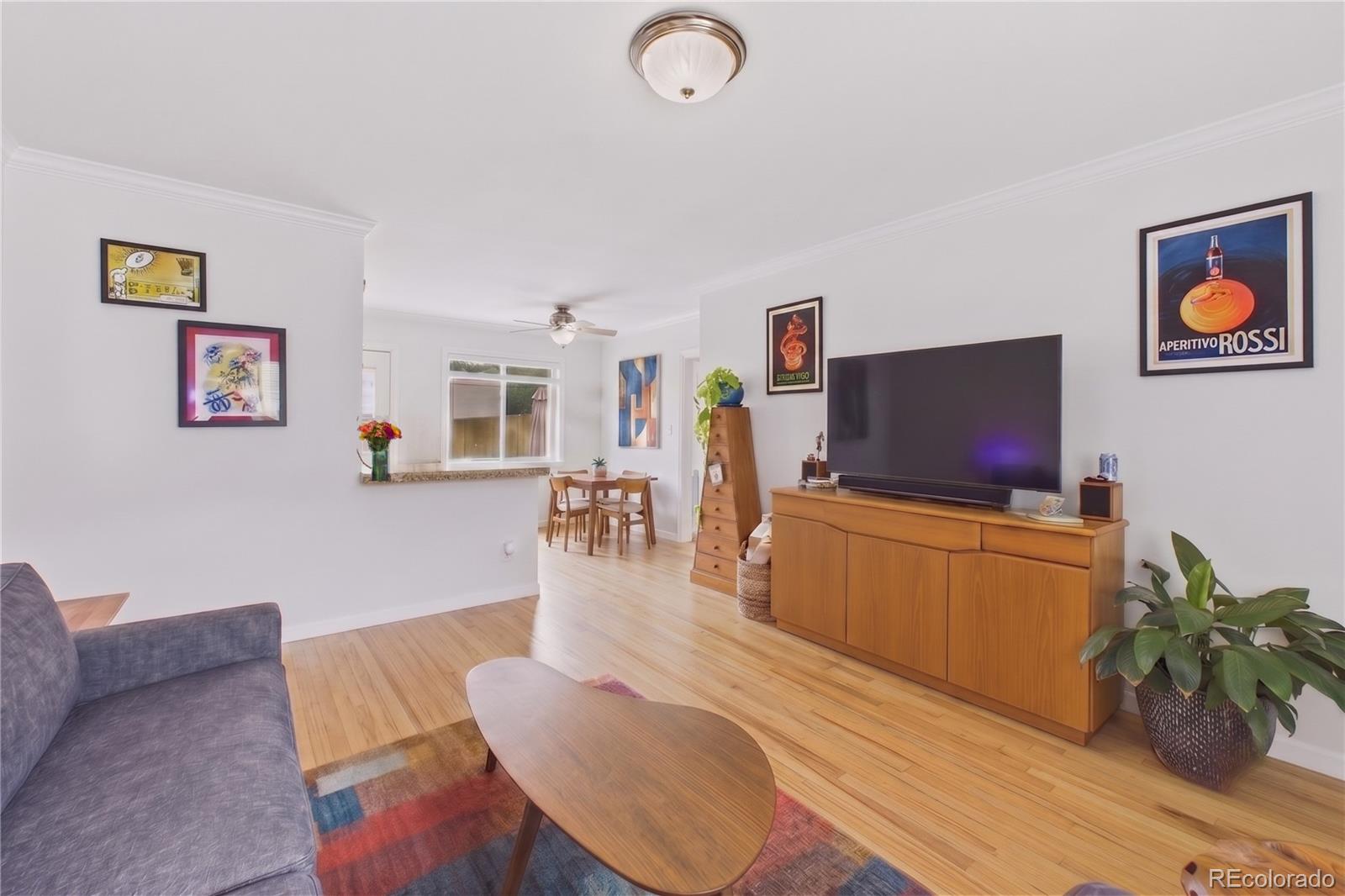 MLS Image #1 for 1244  albion street ,denver, Colorado