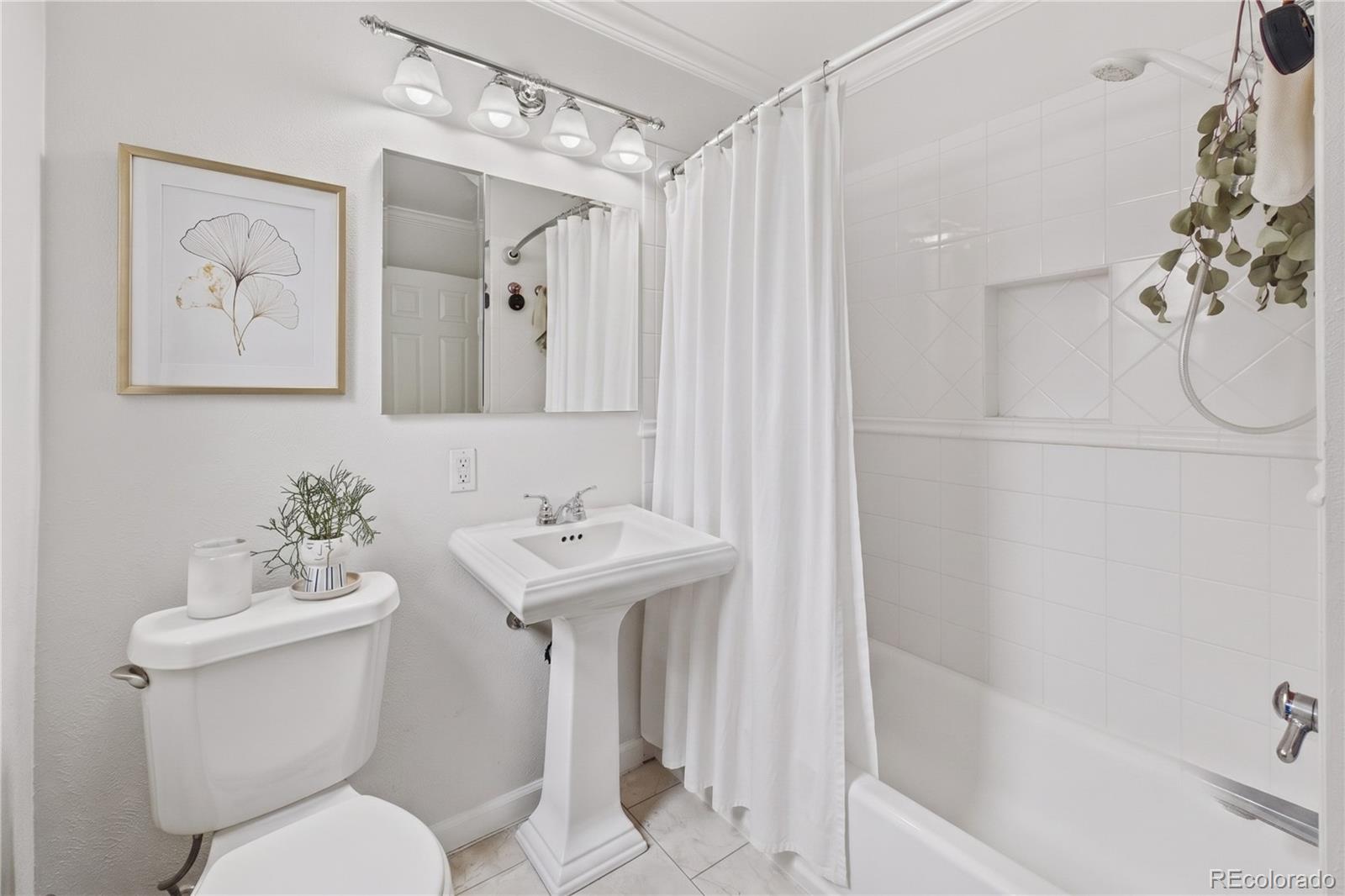 MLS Image #4 for 1244  albion street ,denver, Colorado