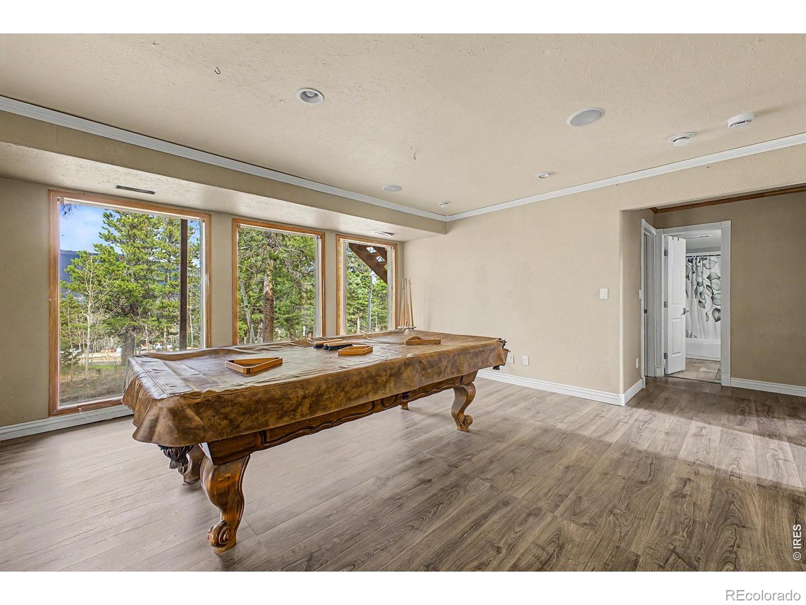 MLS Image #19 for 76  highlands drive,bailey, Colorado