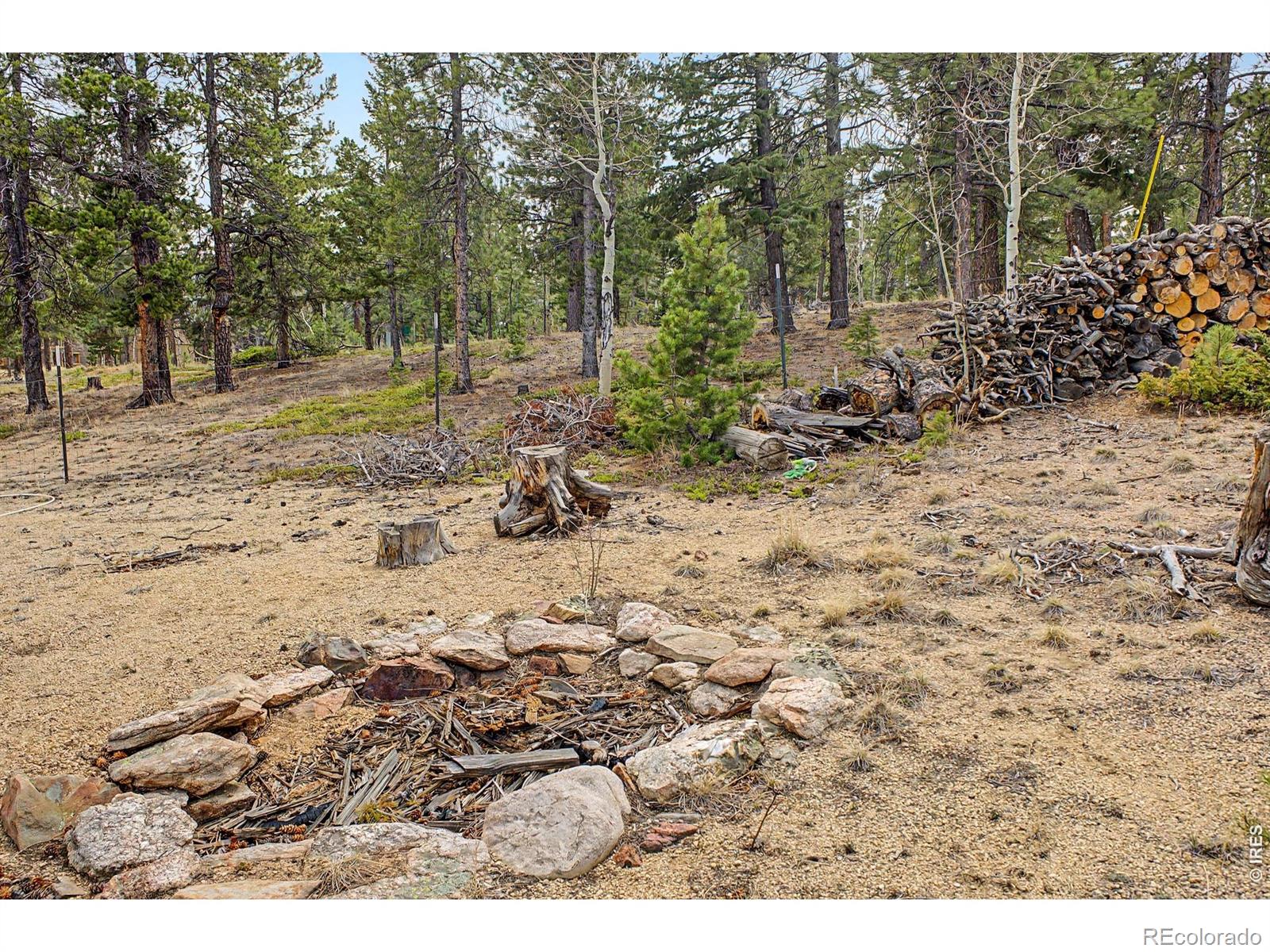 MLS Image #39 for 76  highlands drive,bailey, Colorado