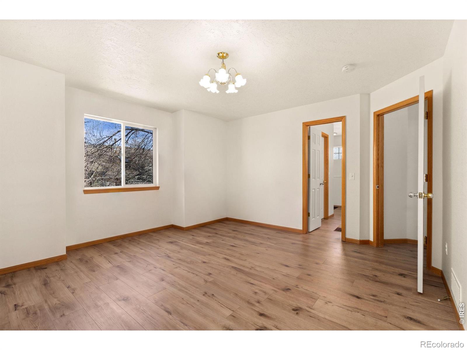 MLS Image #10 for 641  radiant drive,loveland, Colorado