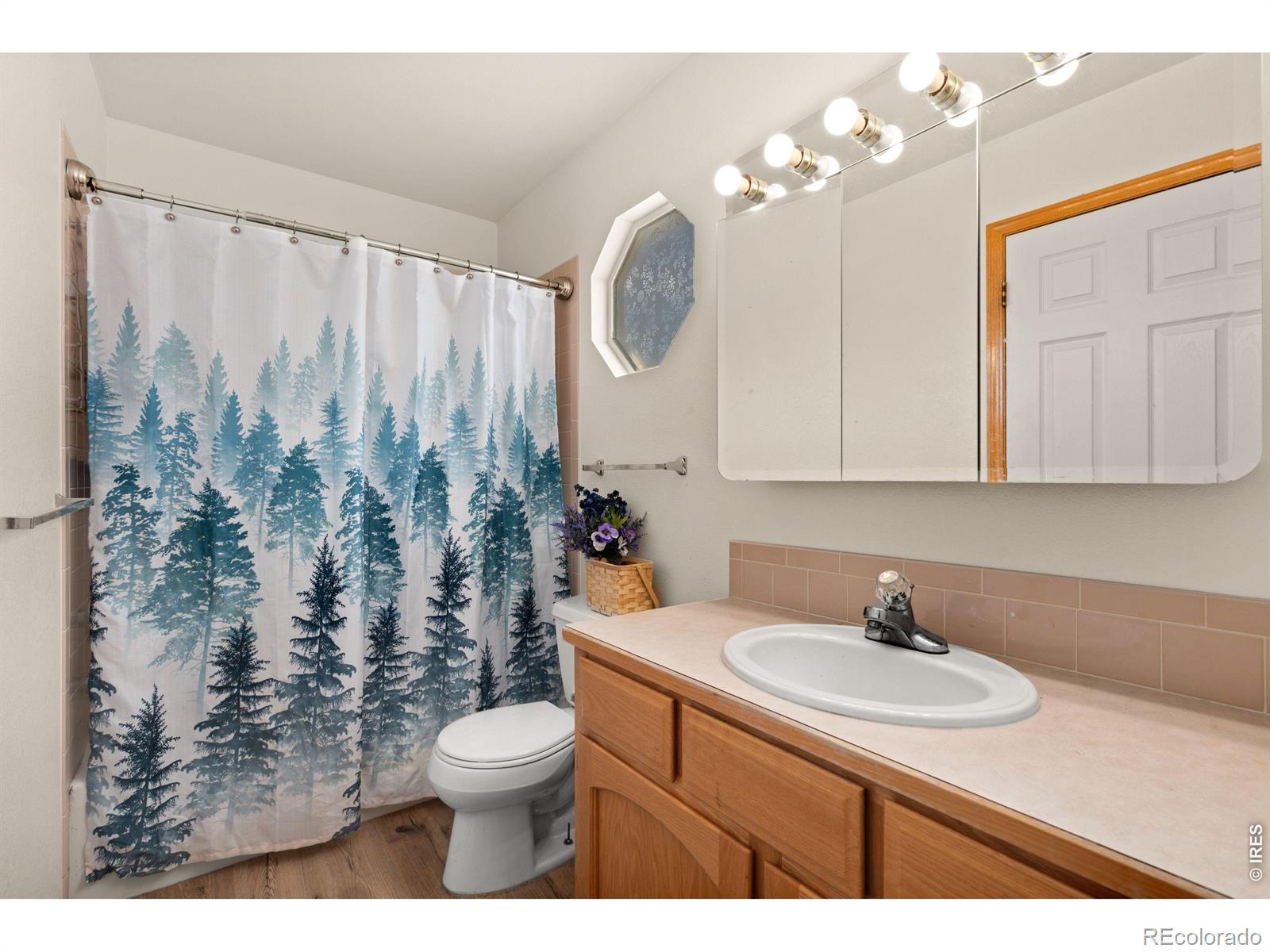 MLS Image #15 for 641  radiant drive,loveland, Colorado