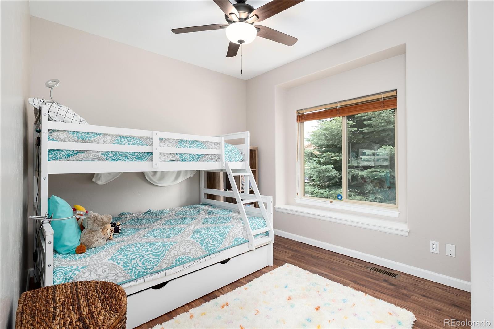 MLS Image #22 for 4352  las lunas court,castle rock, Colorado