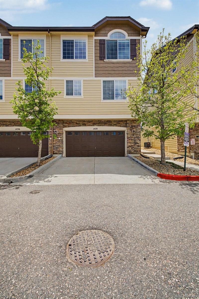 MLS Image #25 for 1420  royal troon drive ,castle rock, Colorado