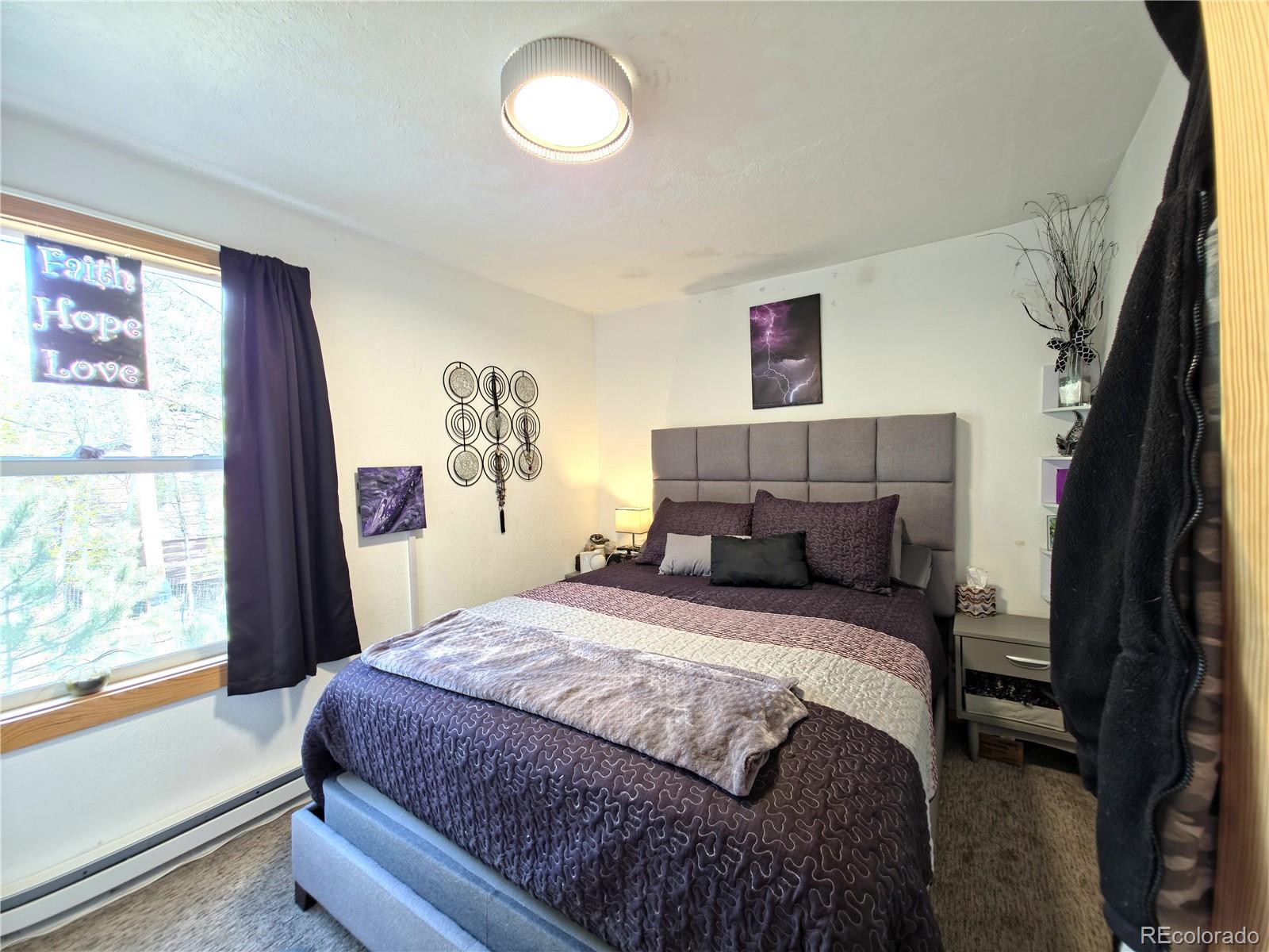 MLS Image #10 for 226  hall road,bailey, Colorado