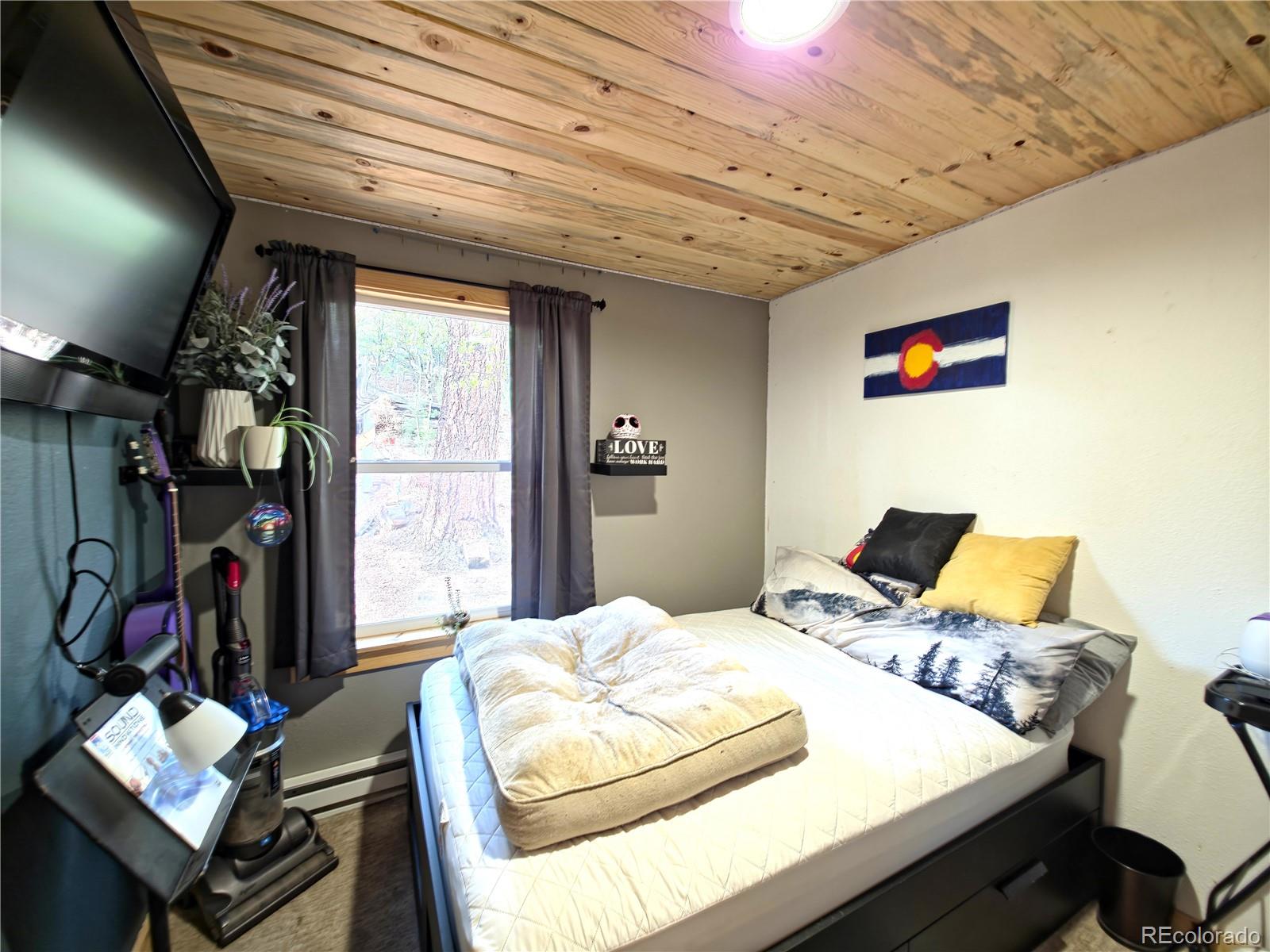 MLS Image #12 for 226  hall road,bailey, Colorado