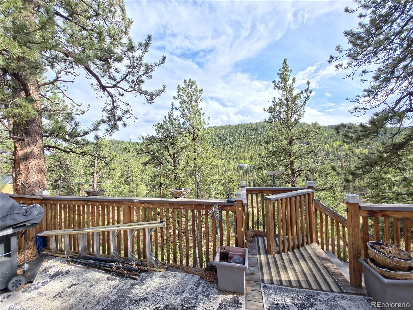 MLS Image #16 for 226  hall road,bailey, Colorado
