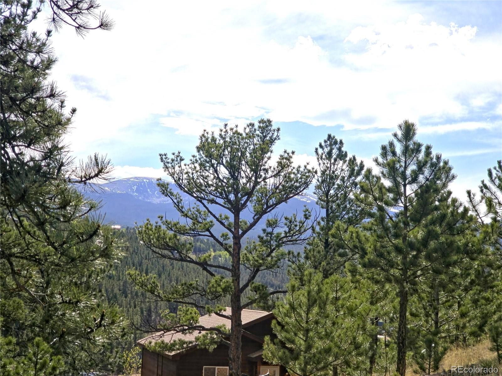 MLS Image #17 for 226  hall road,bailey, Colorado