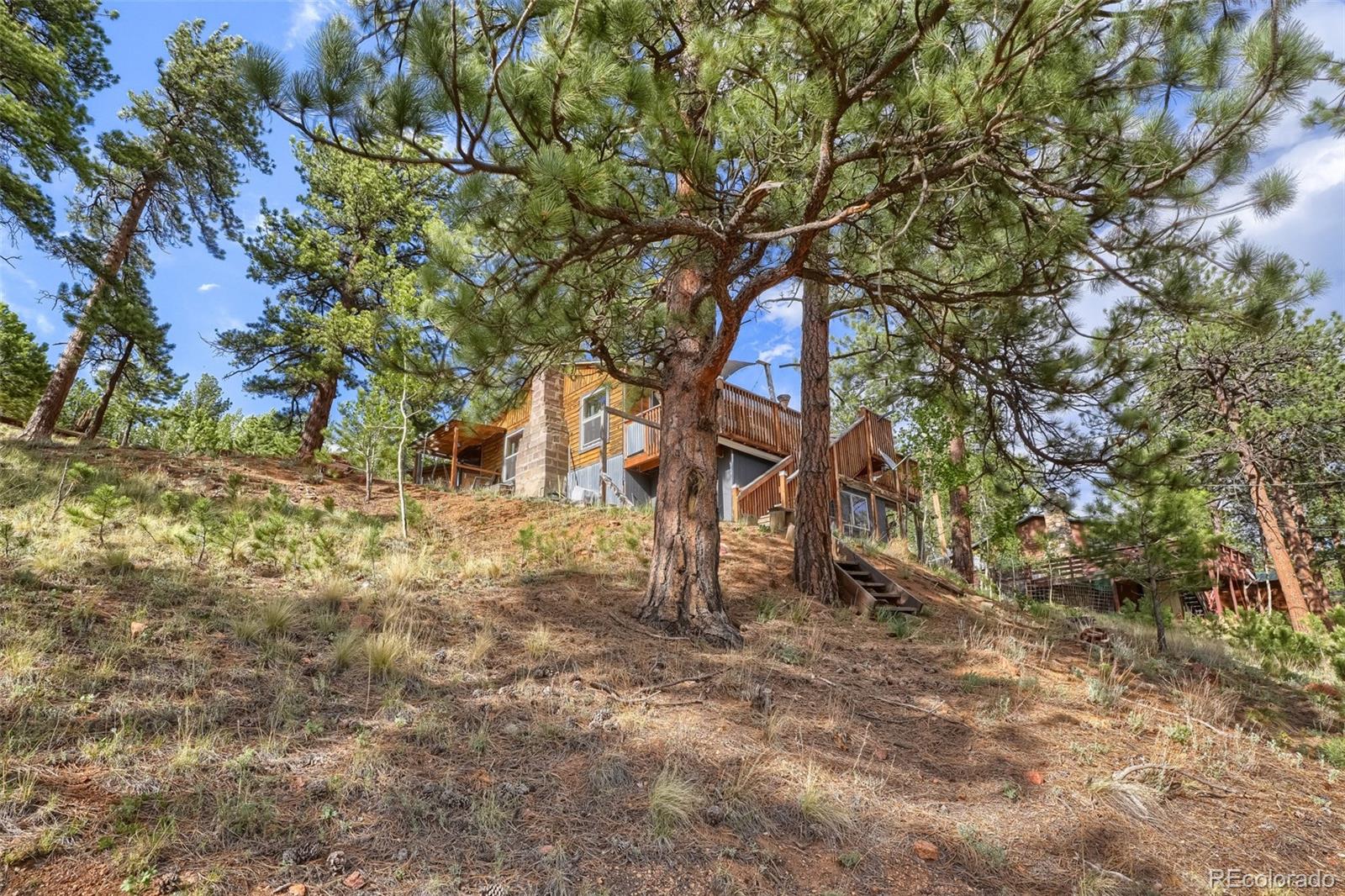 MLS Image #28 for 226  hall road,bailey, Colorado