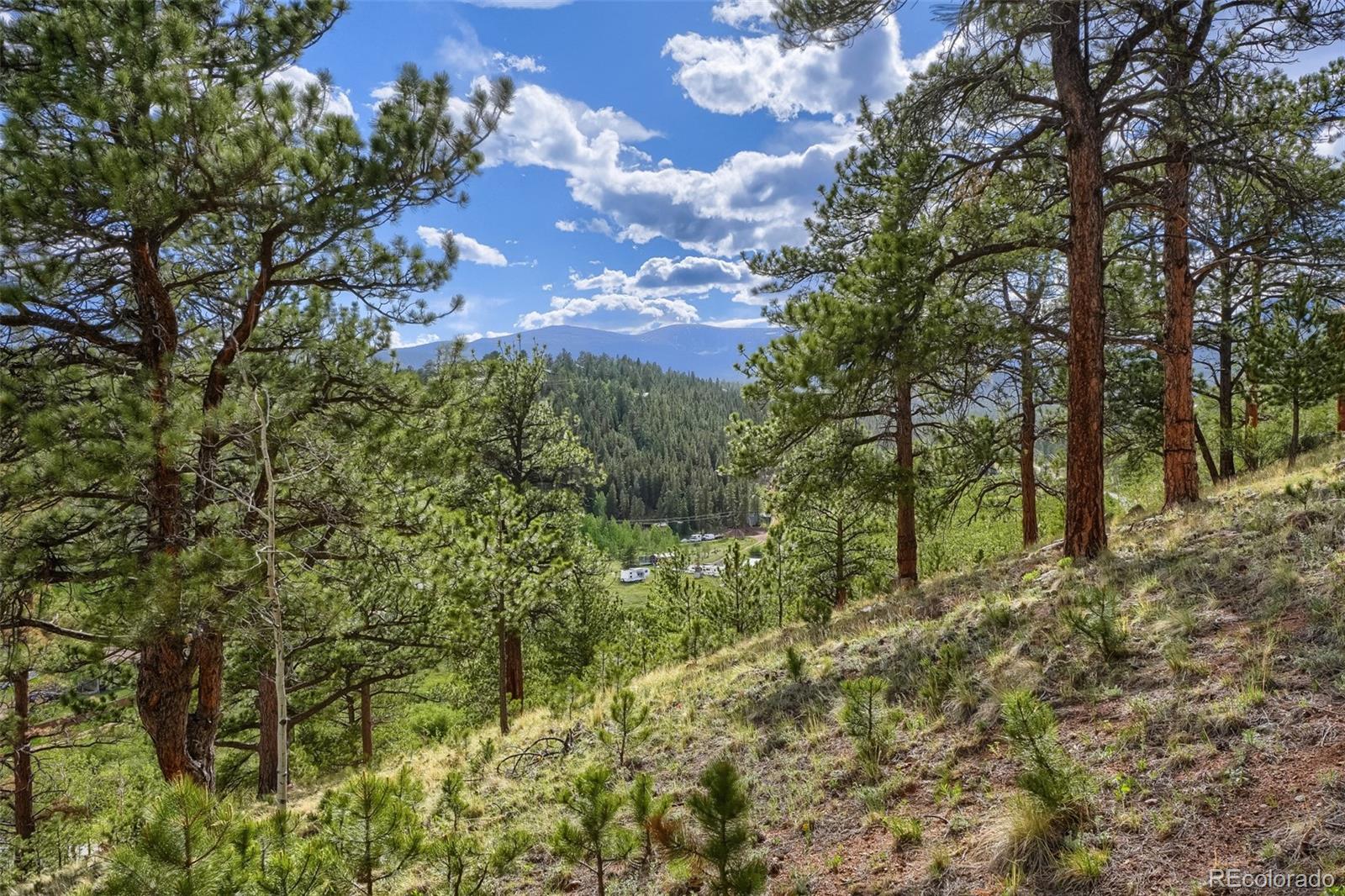 MLS Image #29 for 226  hall road,bailey, Colorado