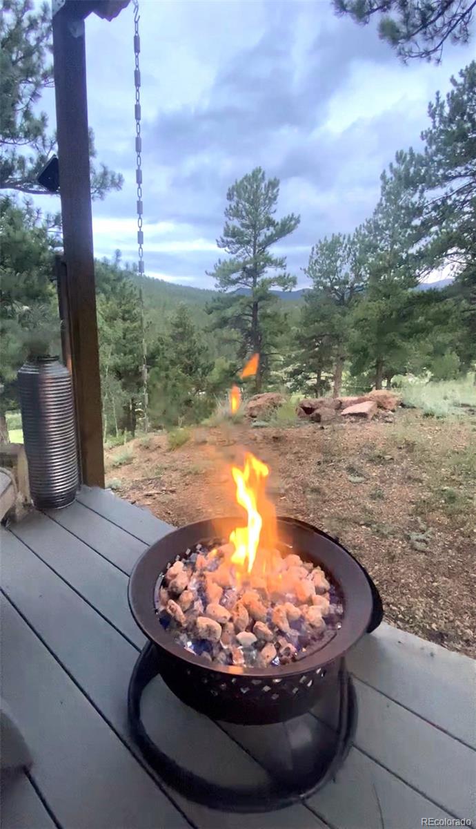 MLS Image #3 for 226  hall road,bailey, Colorado