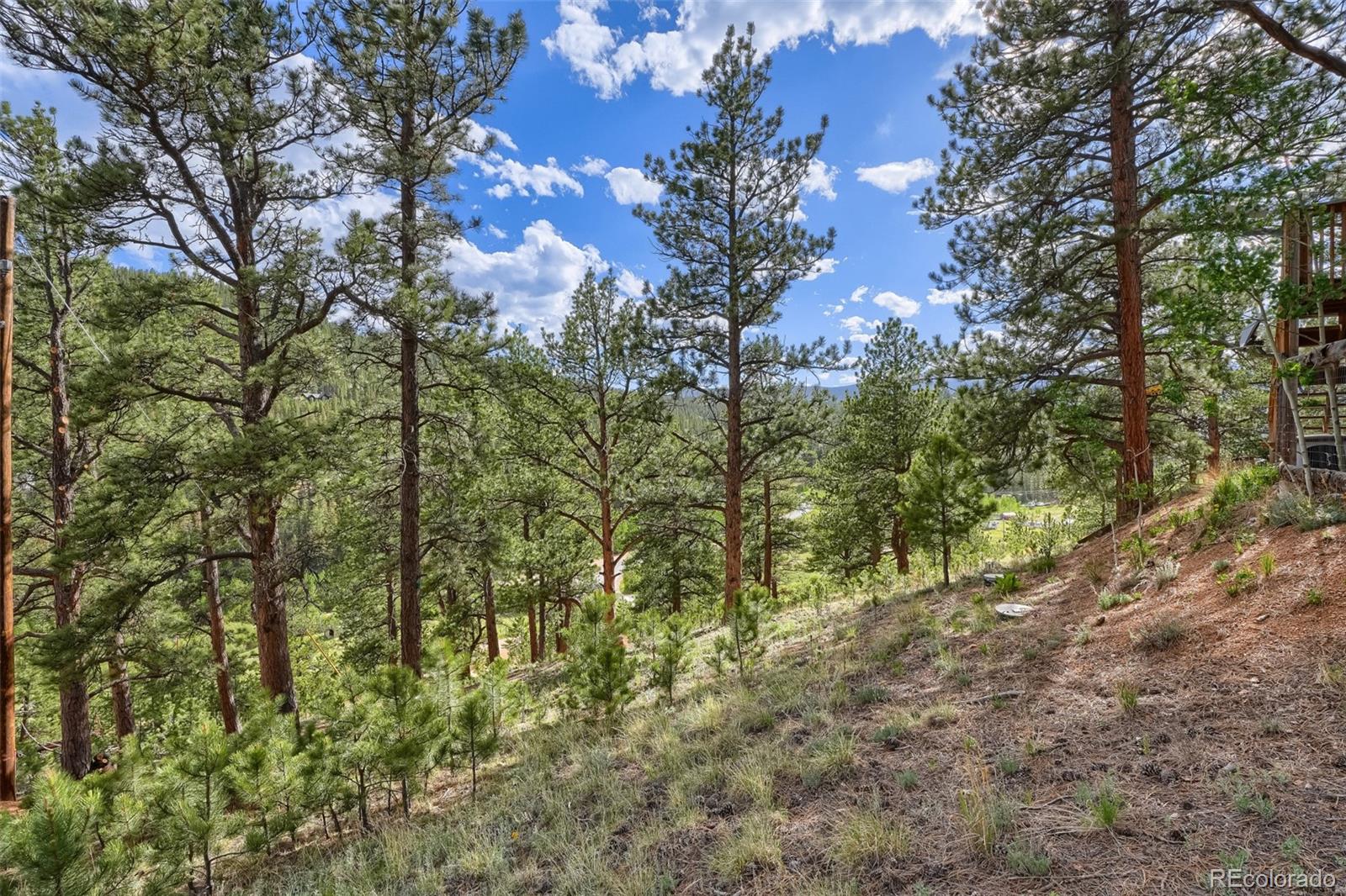 MLS Image #30 for 226  hall road,bailey, Colorado
