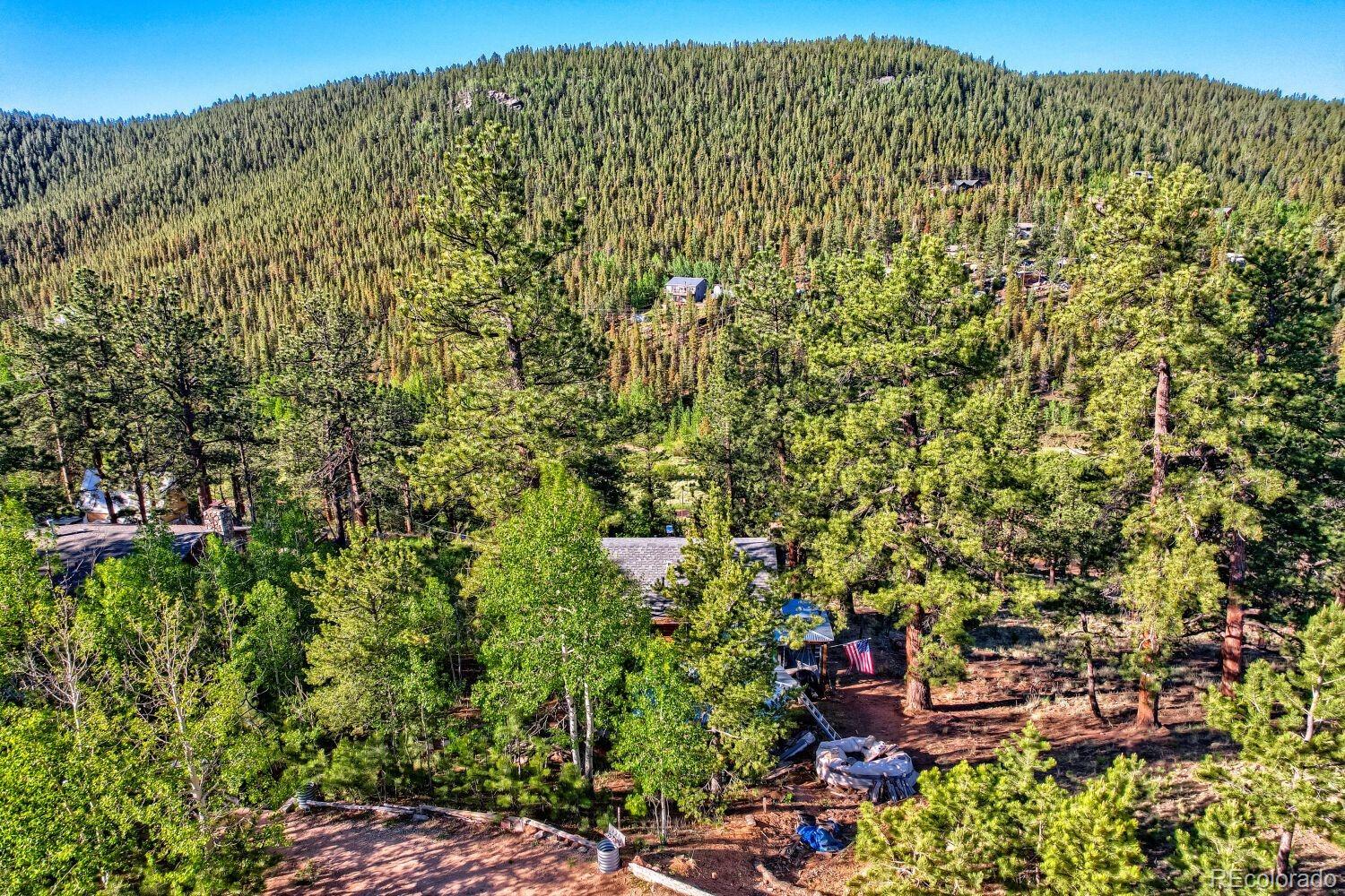 MLS Image #31 for 226  hall road,bailey, Colorado