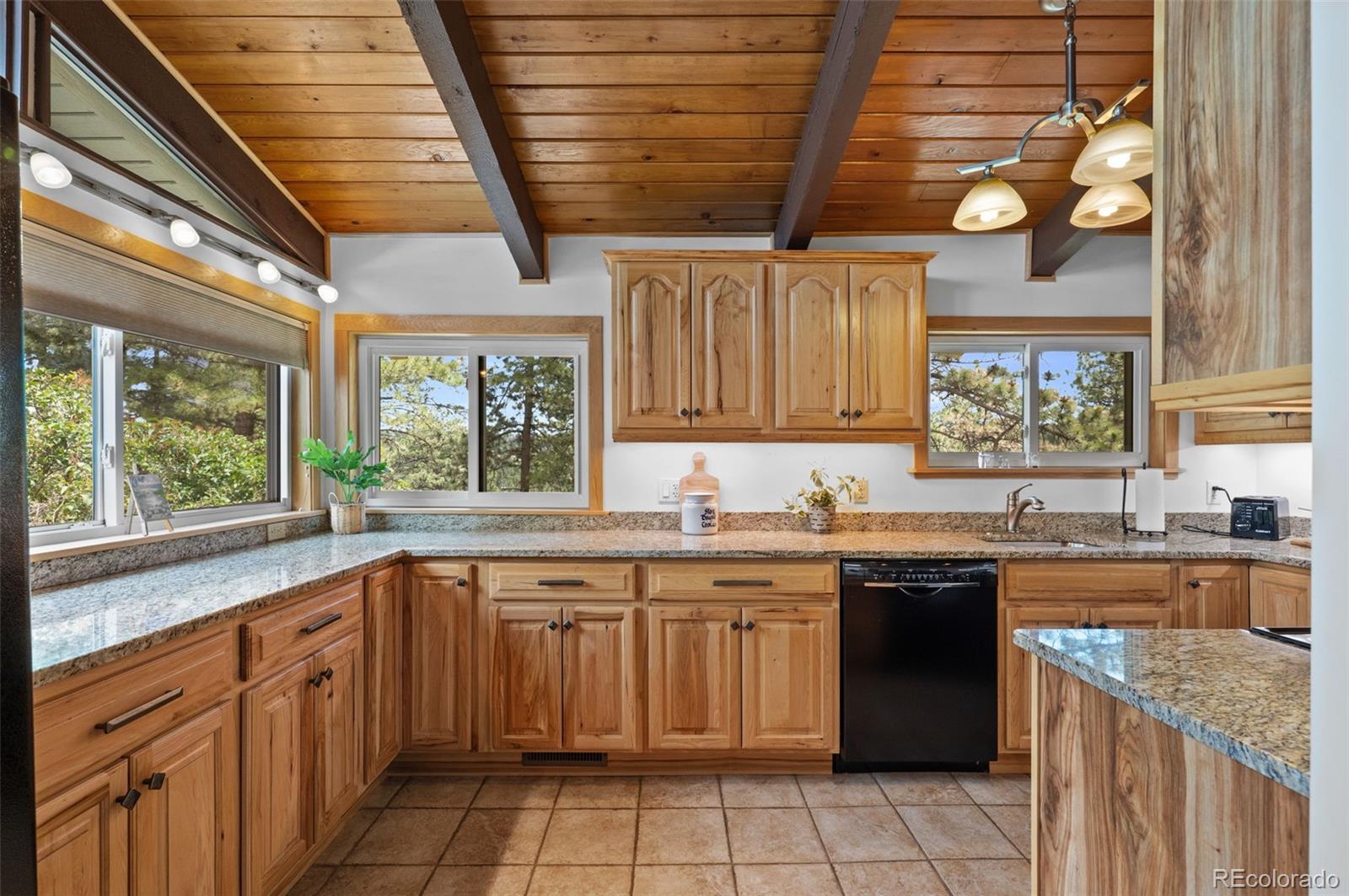 MLS Image #19 for 24  pine road,golden, Colorado