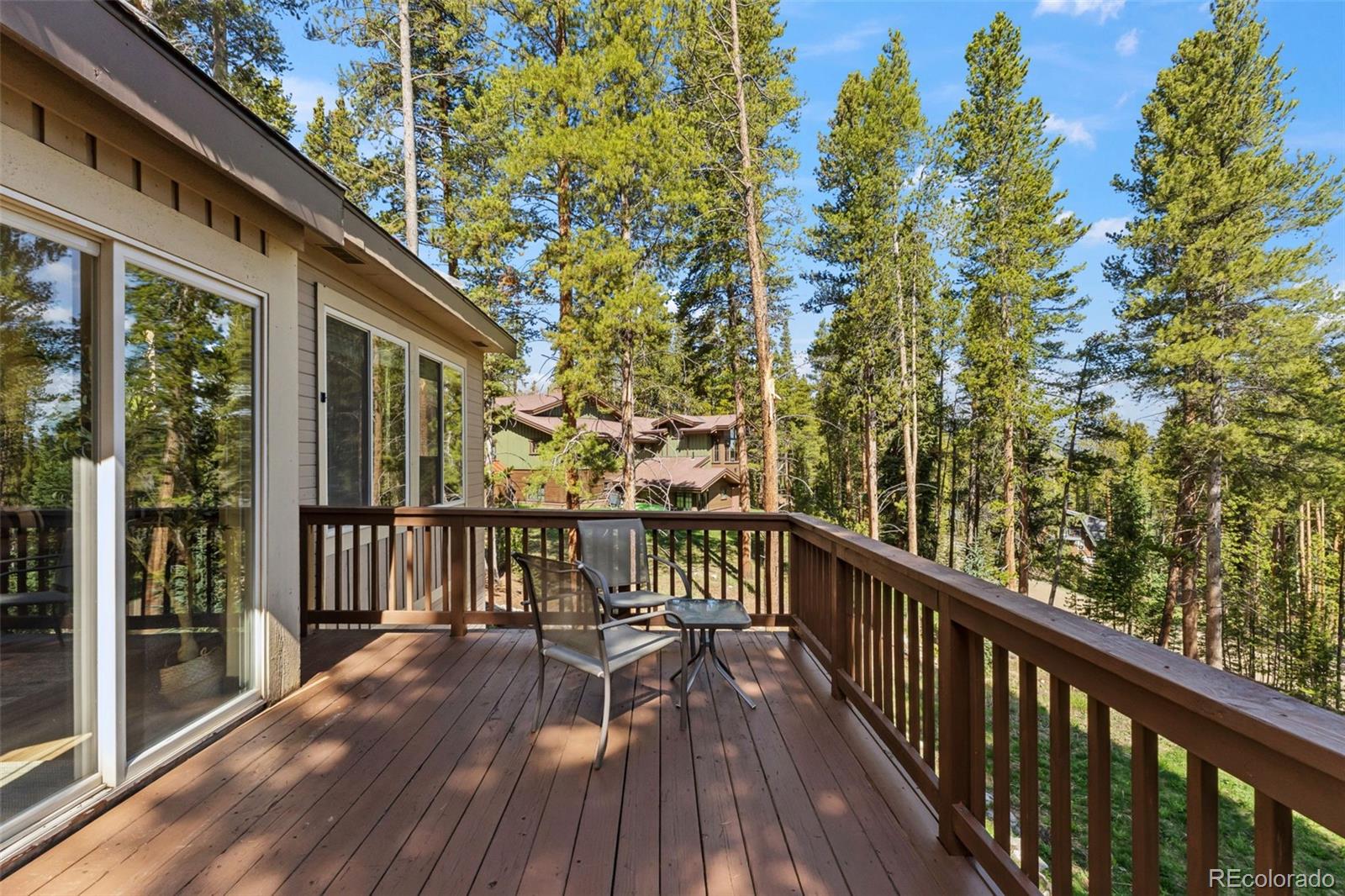 MLS Image #11 for 56  burntwood lane,breckenridge, Colorado