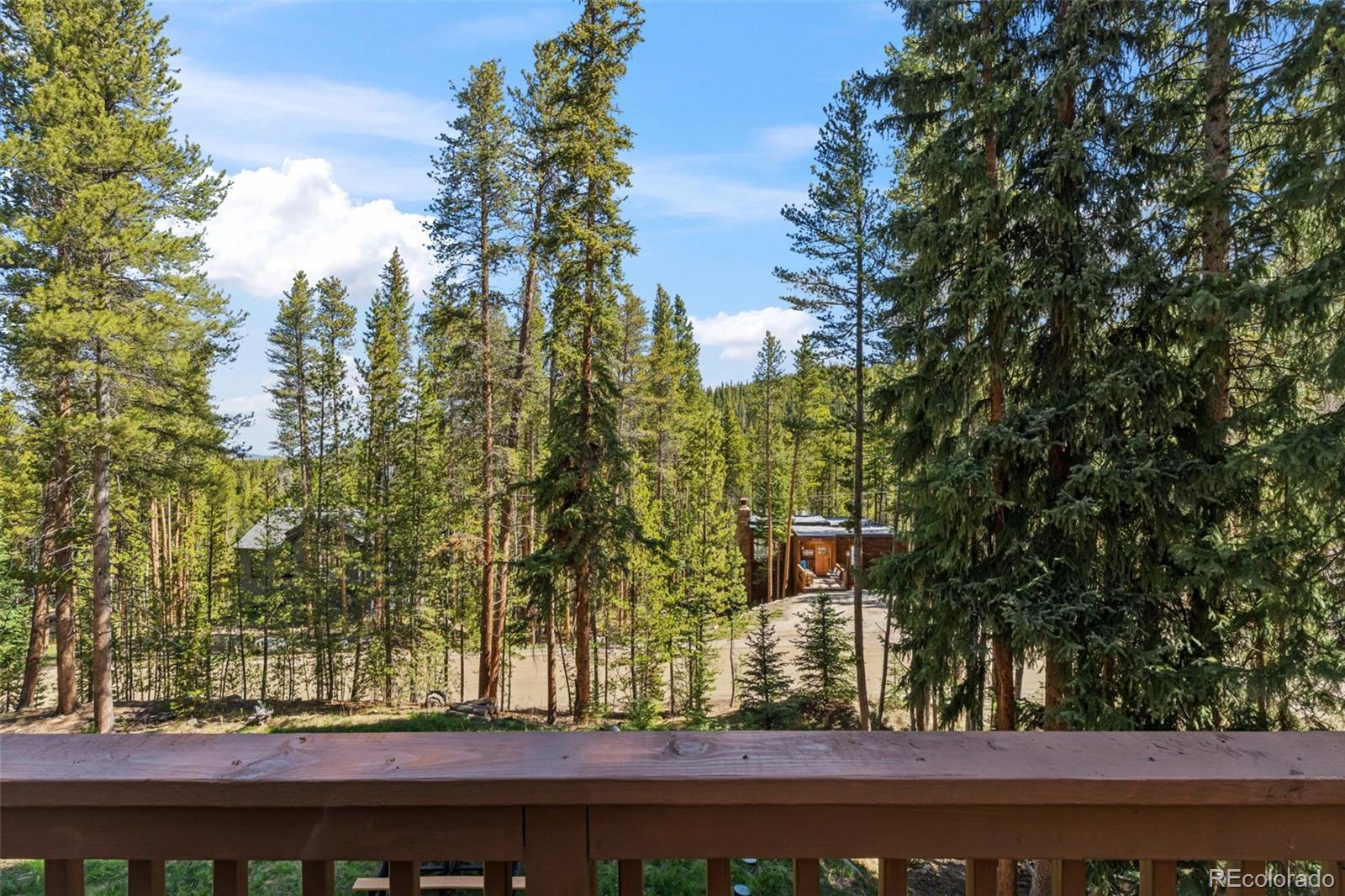MLS Image #12 for 56  burntwood lane,breckenridge, Colorado