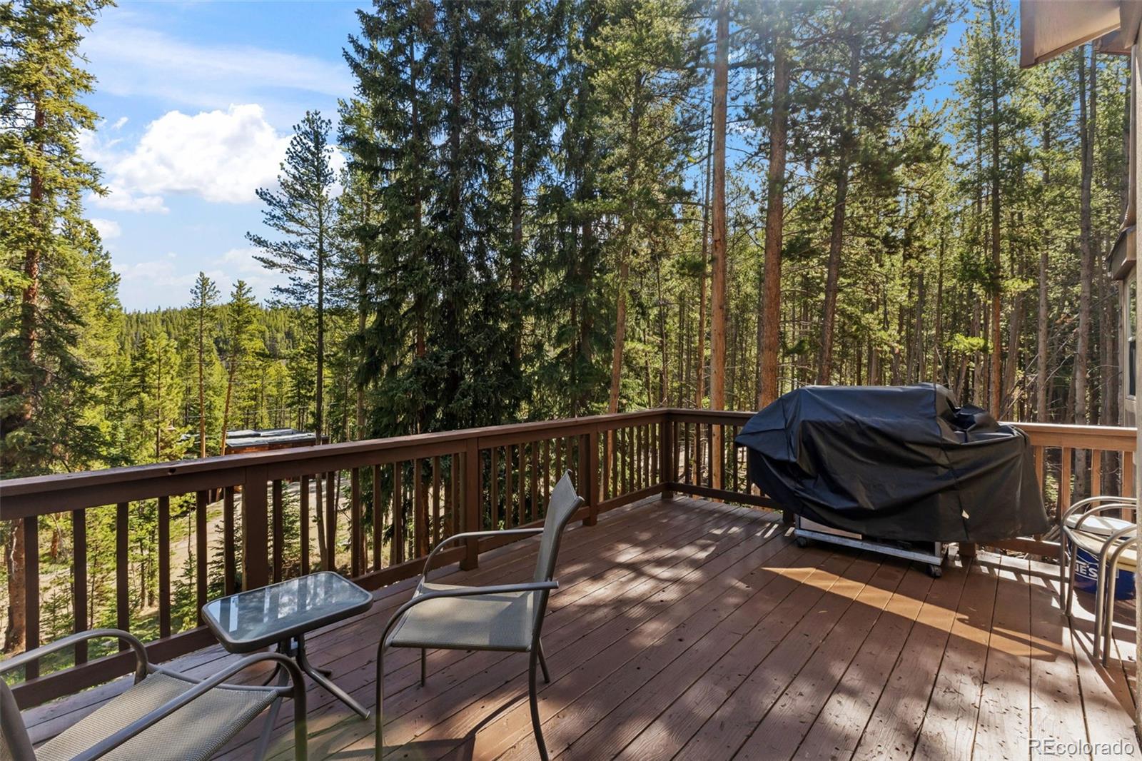 MLS Image #13 for 56  burntwood lane,breckenridge, Colorado