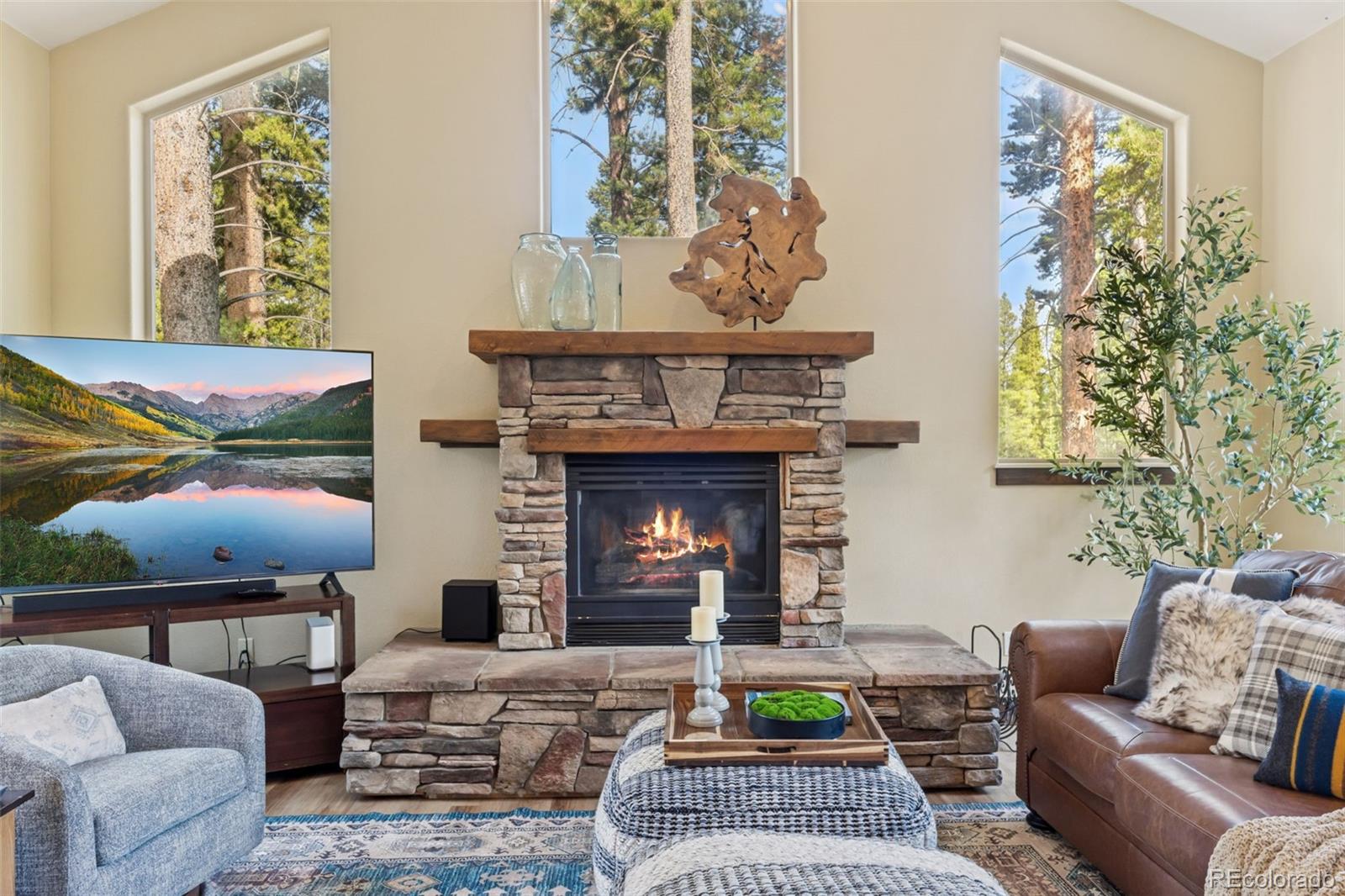 MLS Image #2 for 56  burntwood lane,breckenridge, Colorado