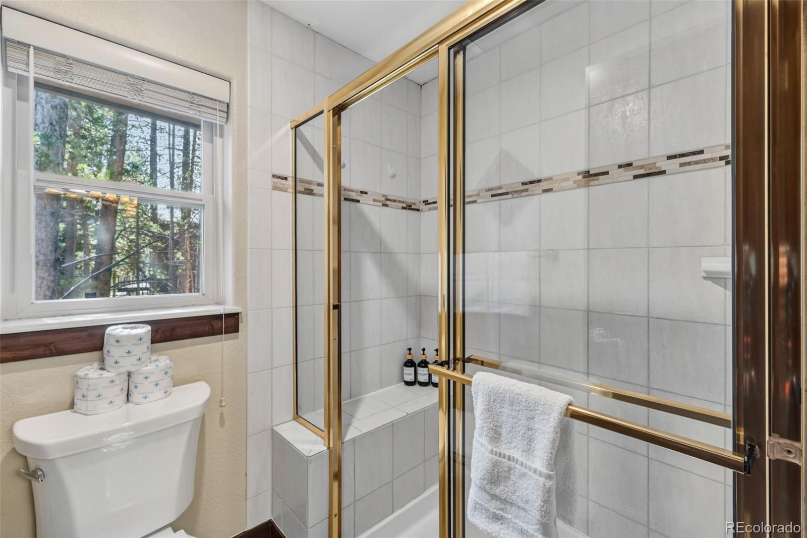 MLS Image #20 for 56  burntwood lane,breckenridge, Colorado