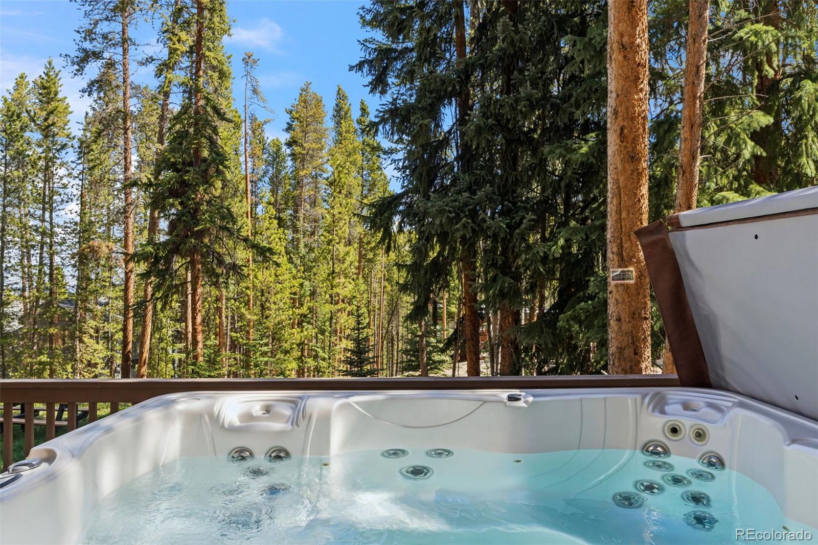 MLS Image #34 for 56  burntwood lane,breckenridge, Colorado
