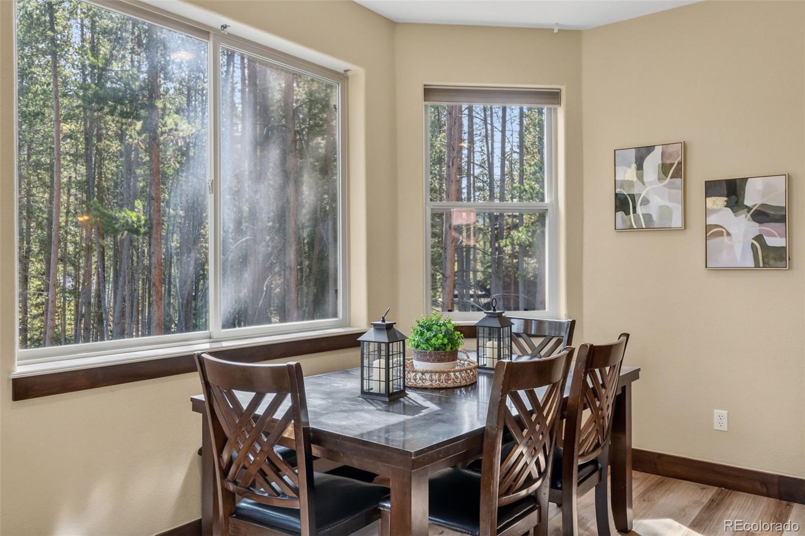 MLS Image #9 for 56  burntwood lane,breckenridge, Colorado