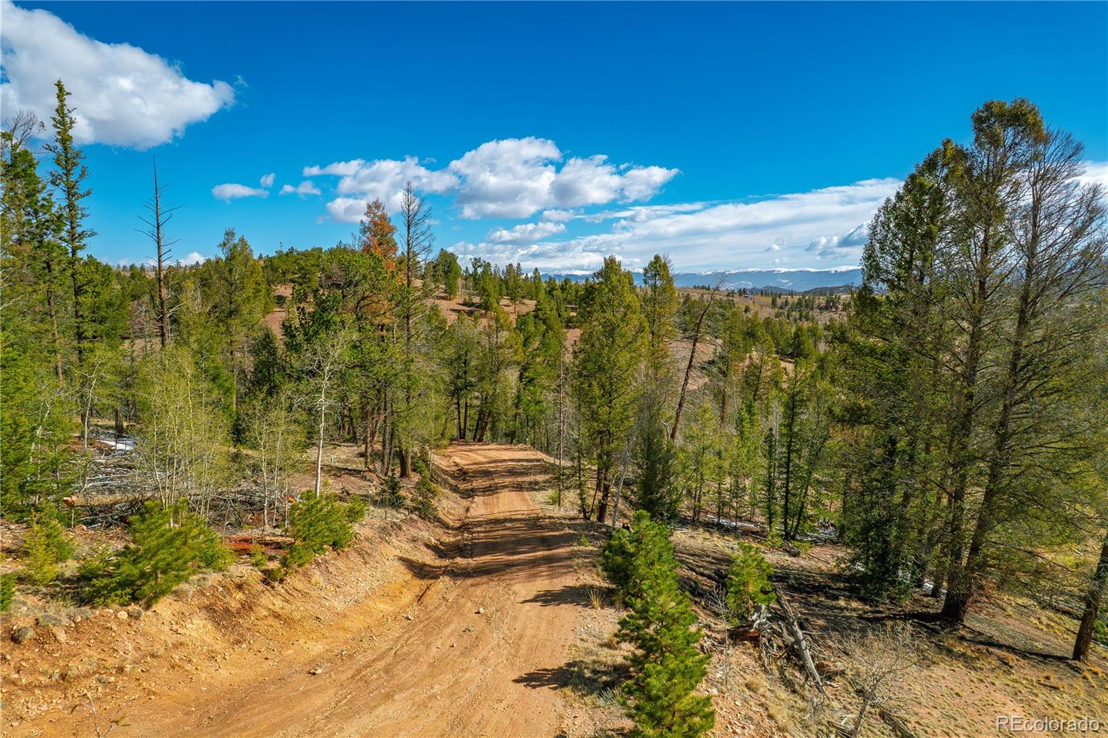 MLS Image #39 for 6745  remington road,jefferson, Colorado