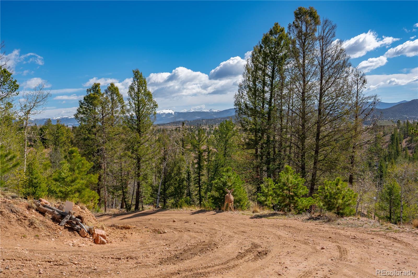 MLS Image #40 for 6745  remington road,jefferson, Colorado