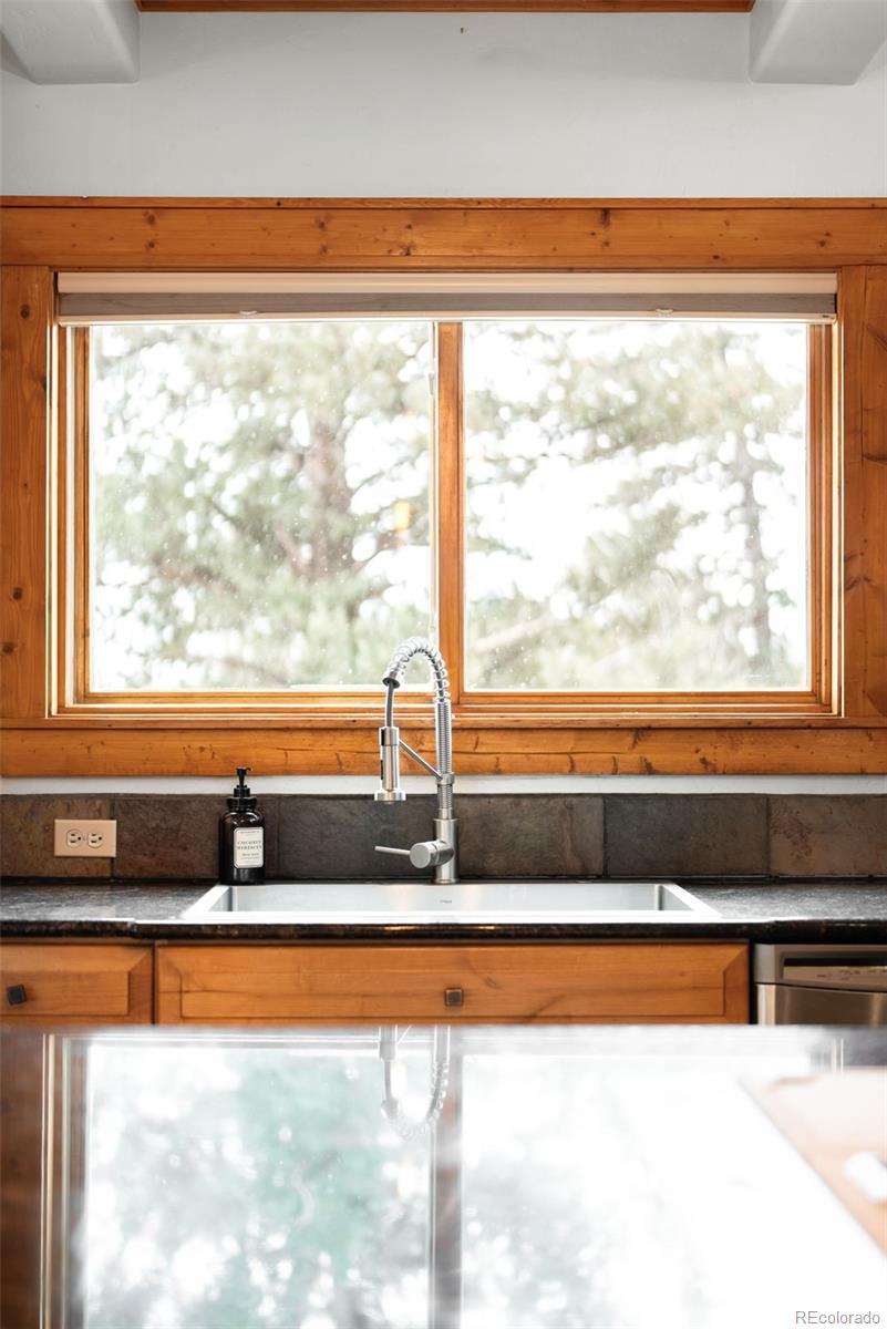 MLS Image #11 for 229  mohawk trail,pine, Colorado
