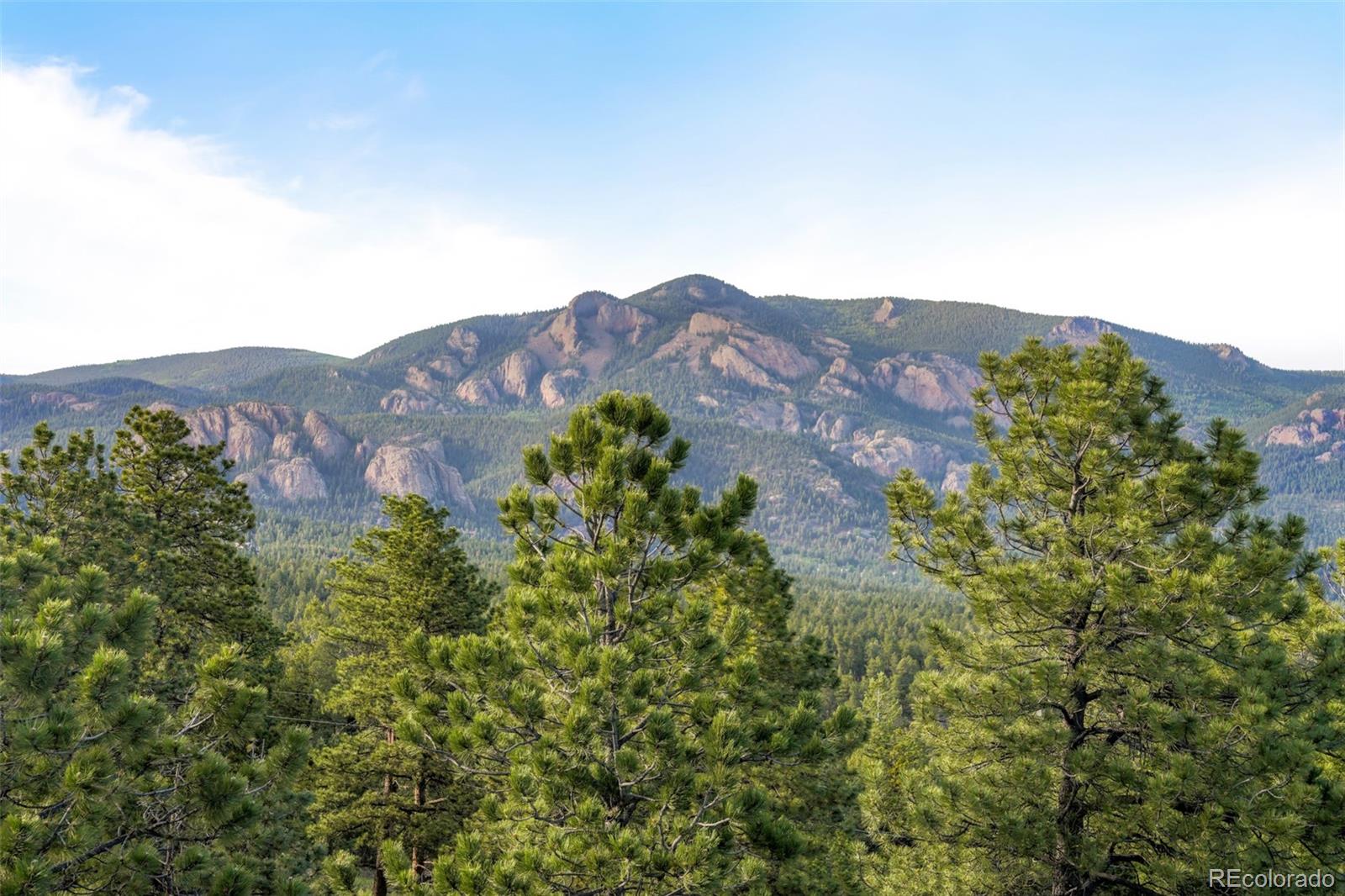 MLS Image #39 for 229  mohawk trail,pine, Colorado