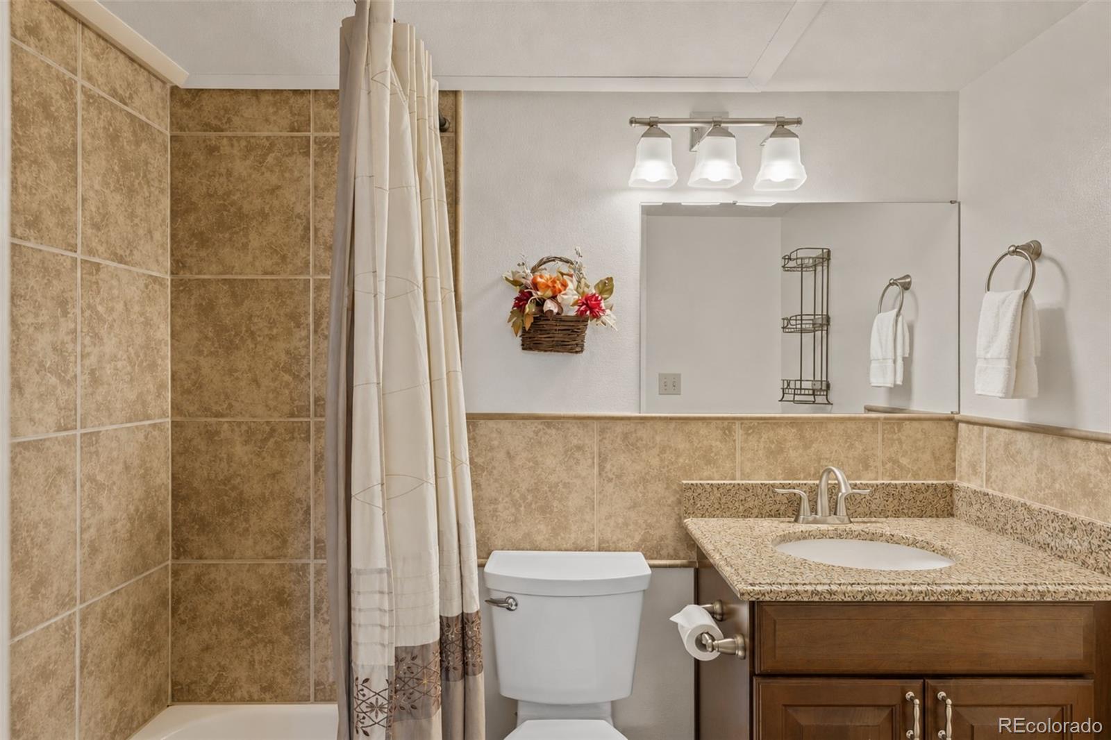 MLS Image #11 for 500  bills ranch road,frisco, Colorado