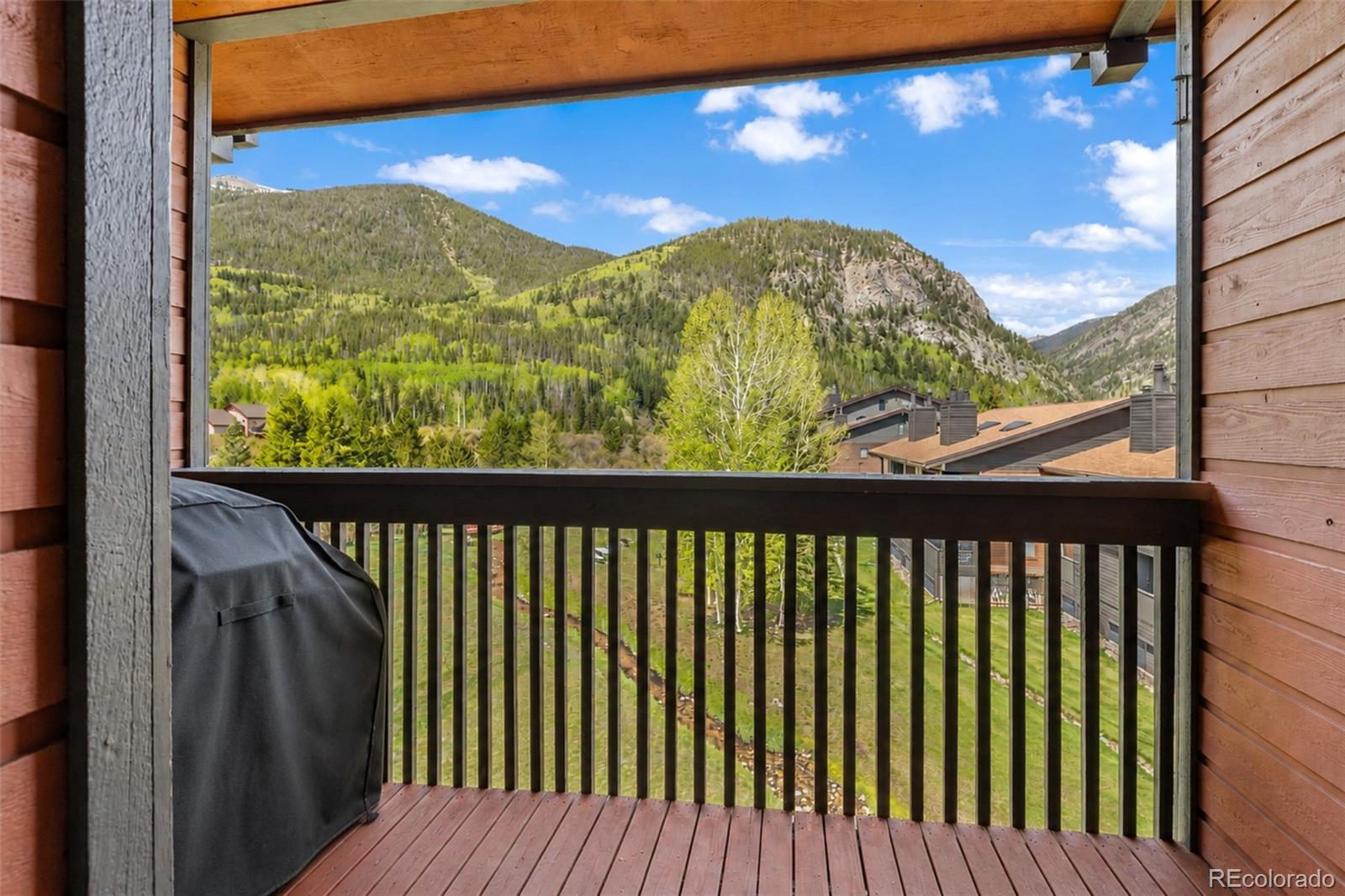 MLS Image #17 for 500  bills ranch road,frisco, Colorado